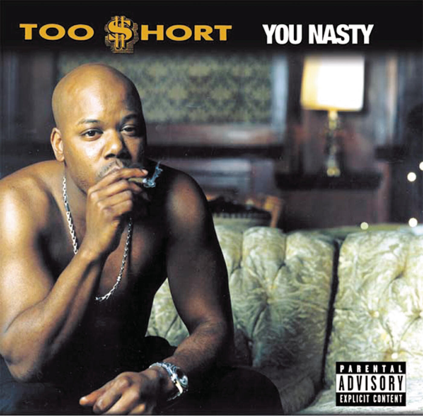 Постер альбома You Nasty