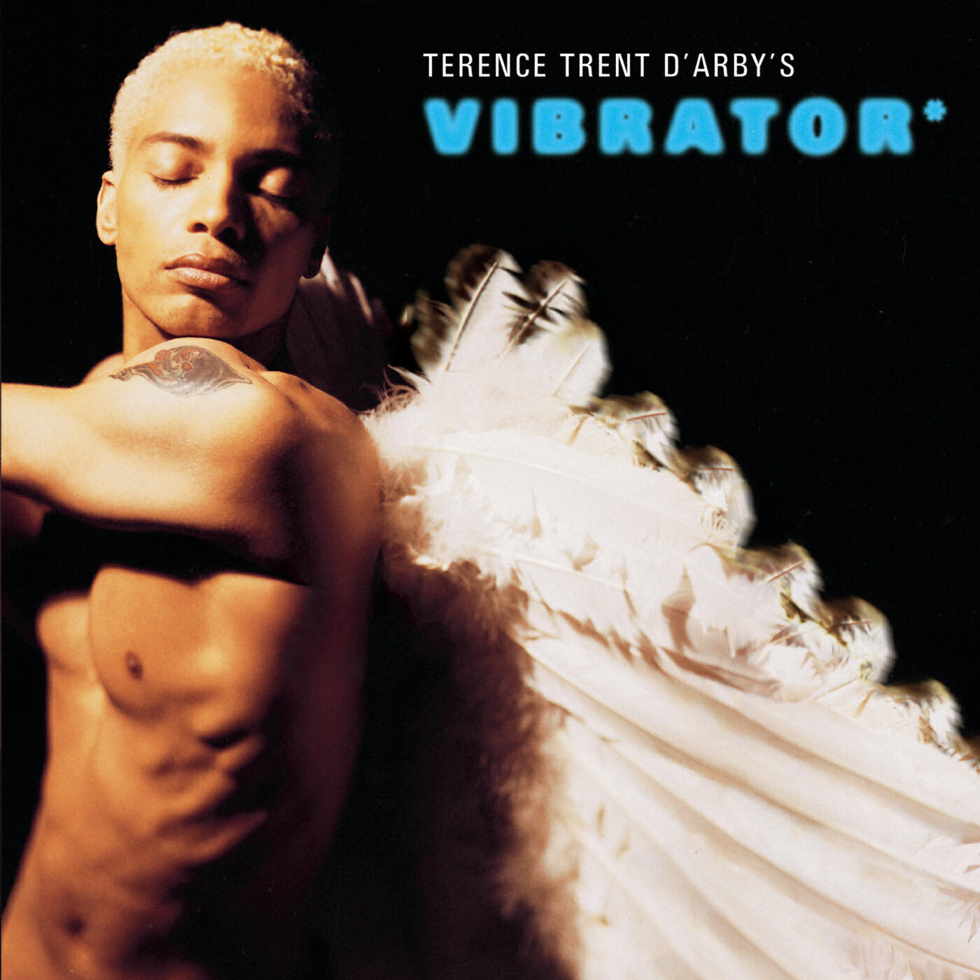 Terence Trent D'Arby - C.Y.F.M.L.A.Y?