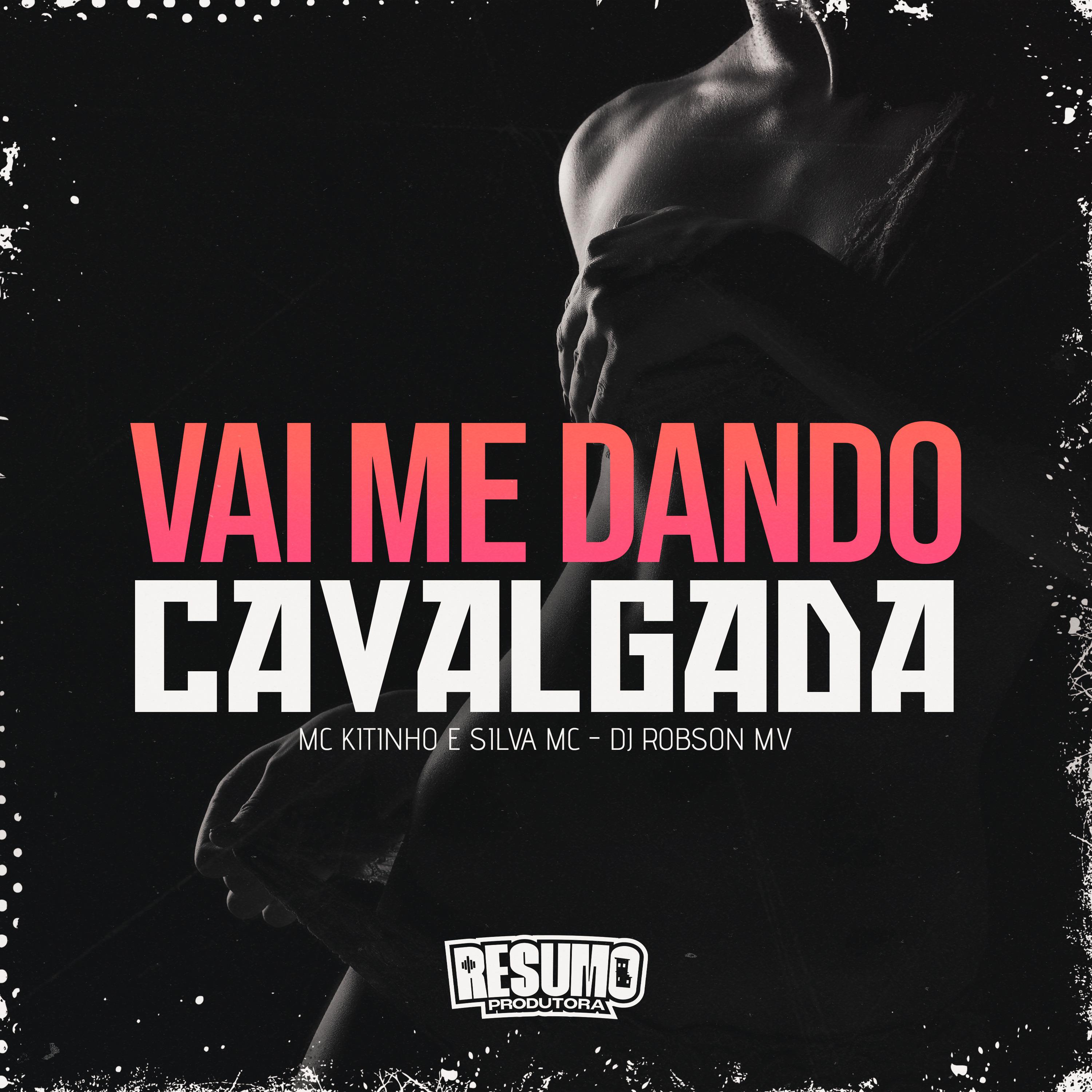 Постер альбома Vai Me Dando Cavalgada