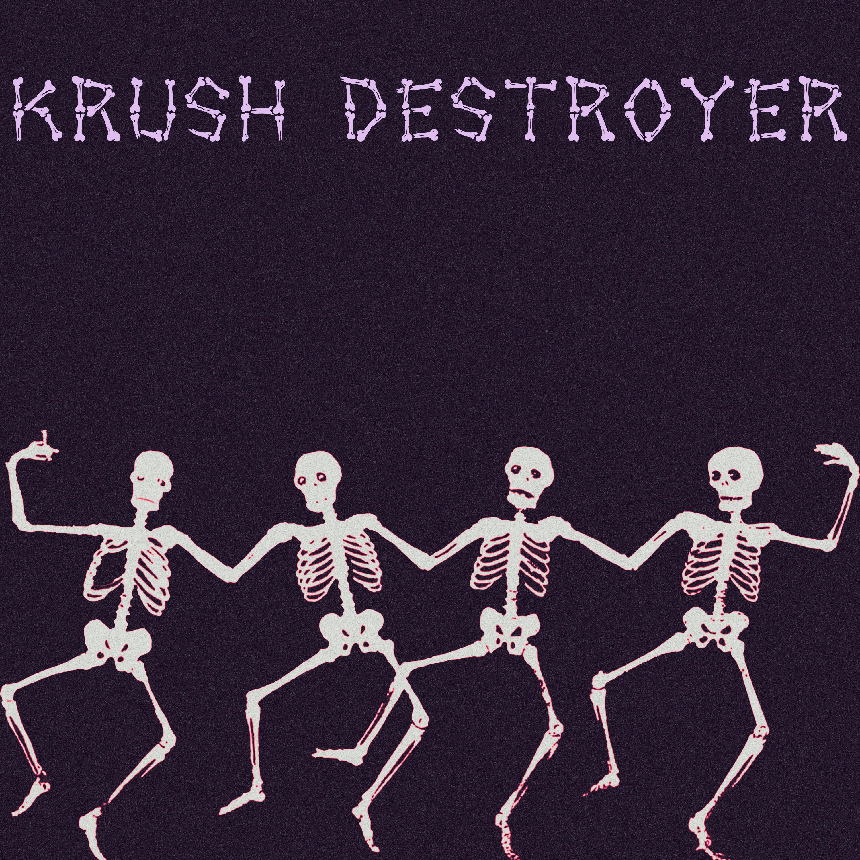 Постер альбома Krush Destroyer