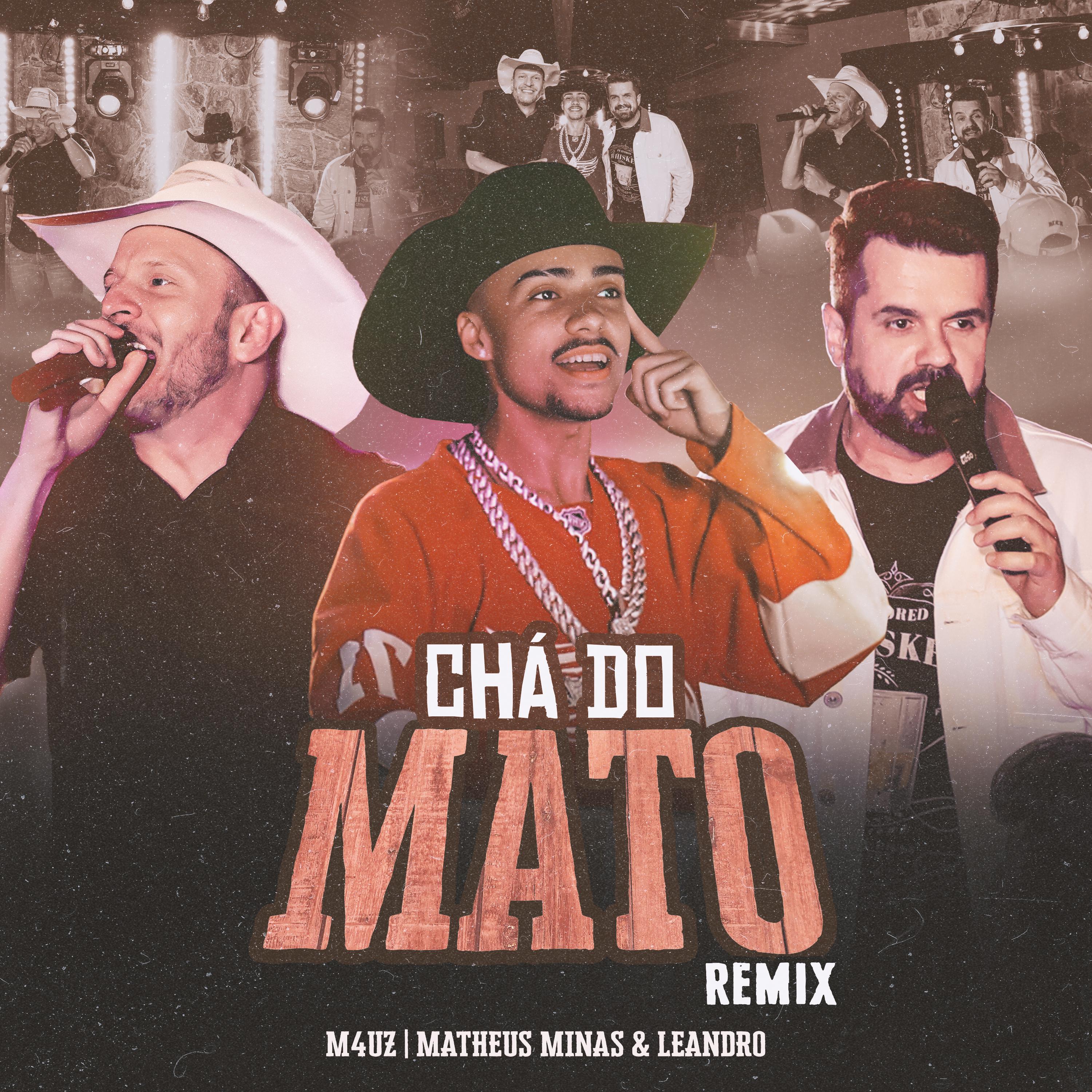 Постер альбома Chá do Mato
