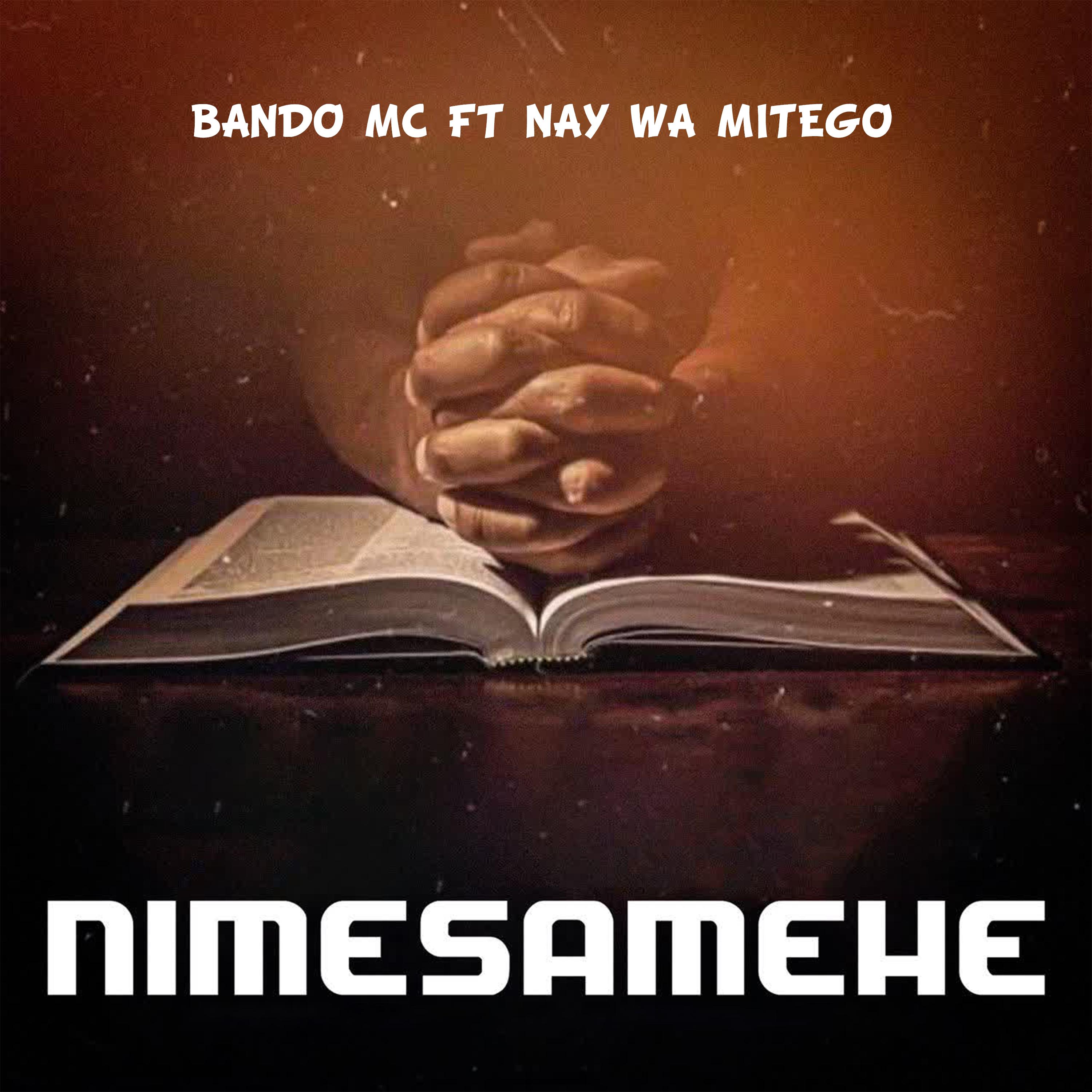 Постер альбома Nimesamehe