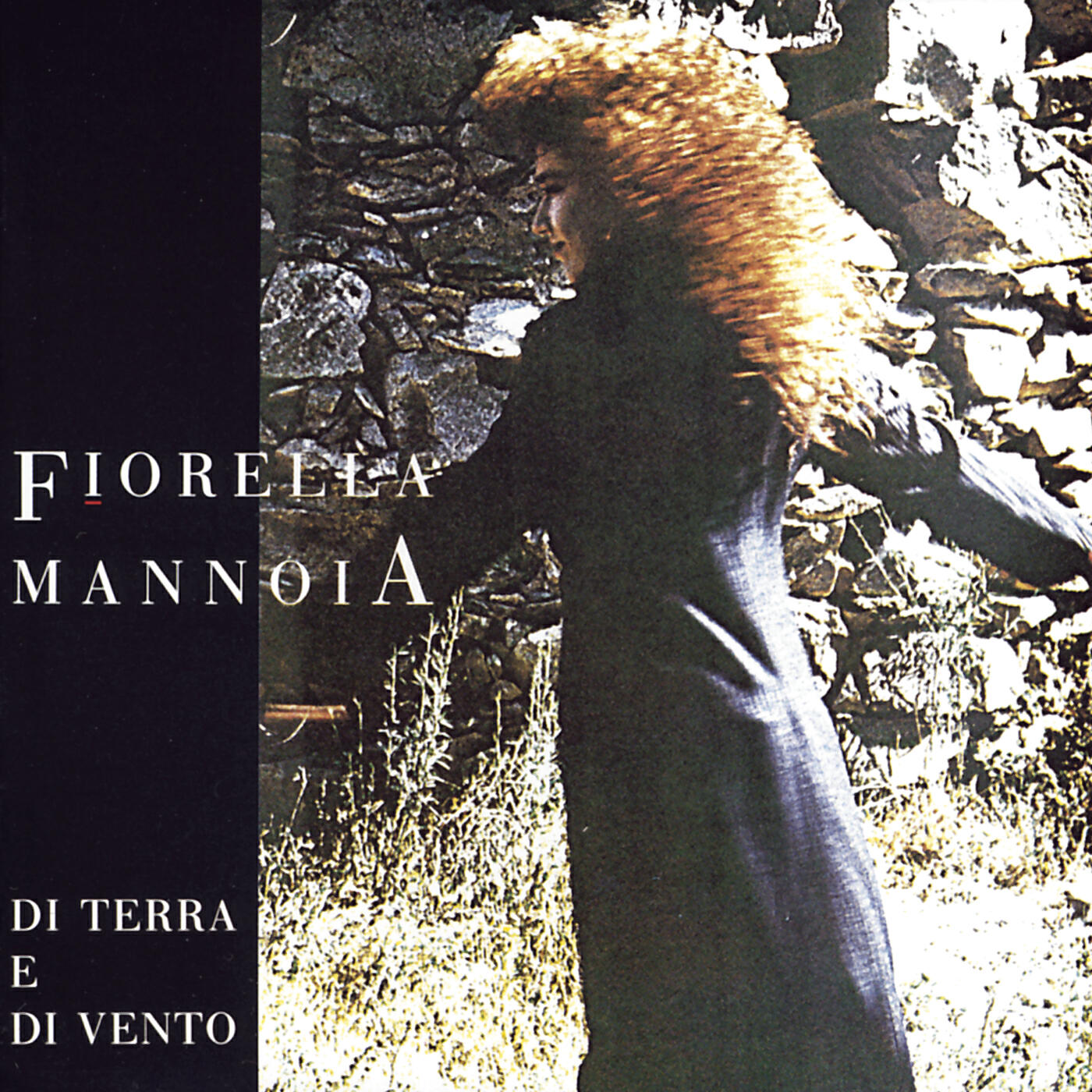 Fiorella Mannoia - La giostra della memoria