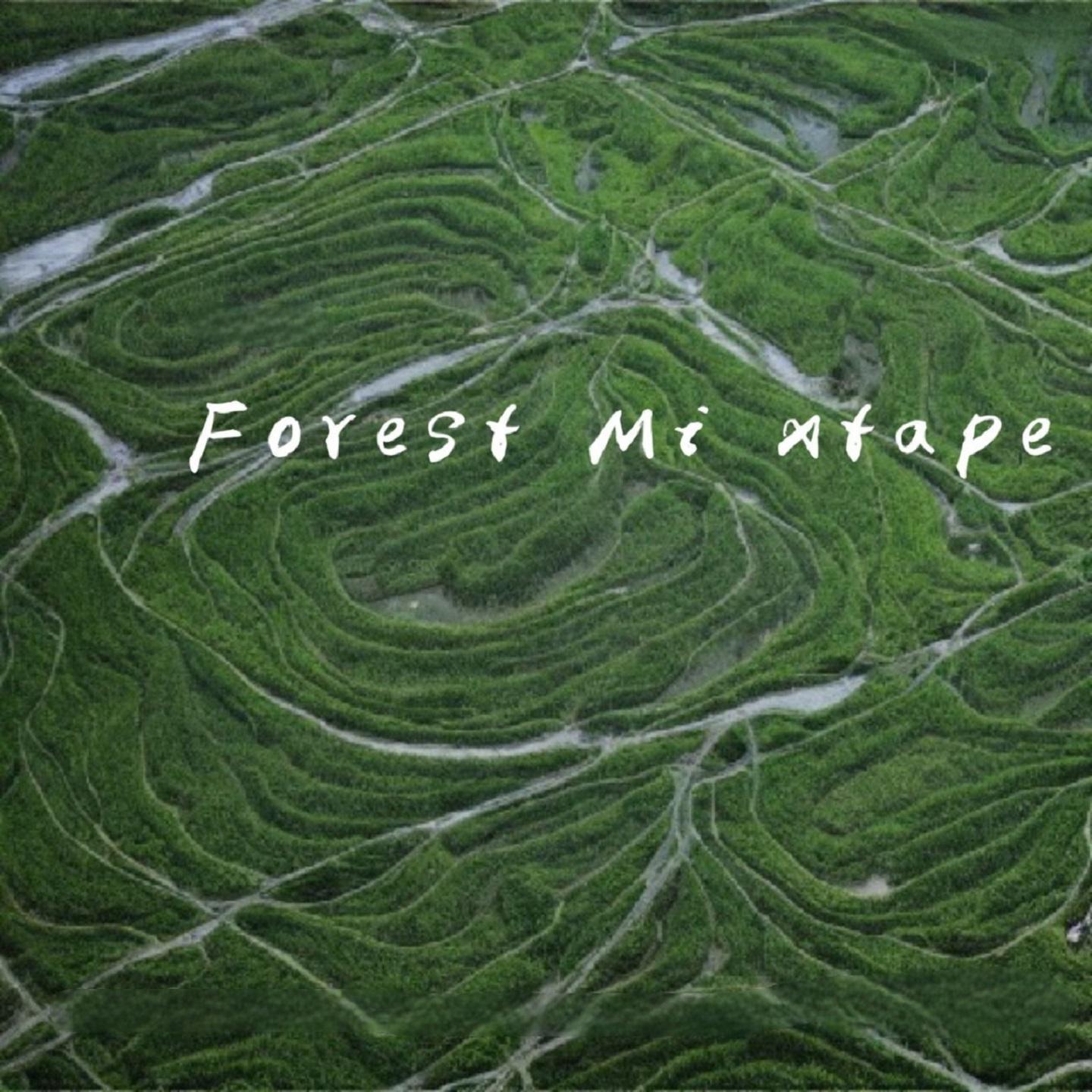 Постер альбома Forest Mi xtape（钢琴治愈纯音乐）