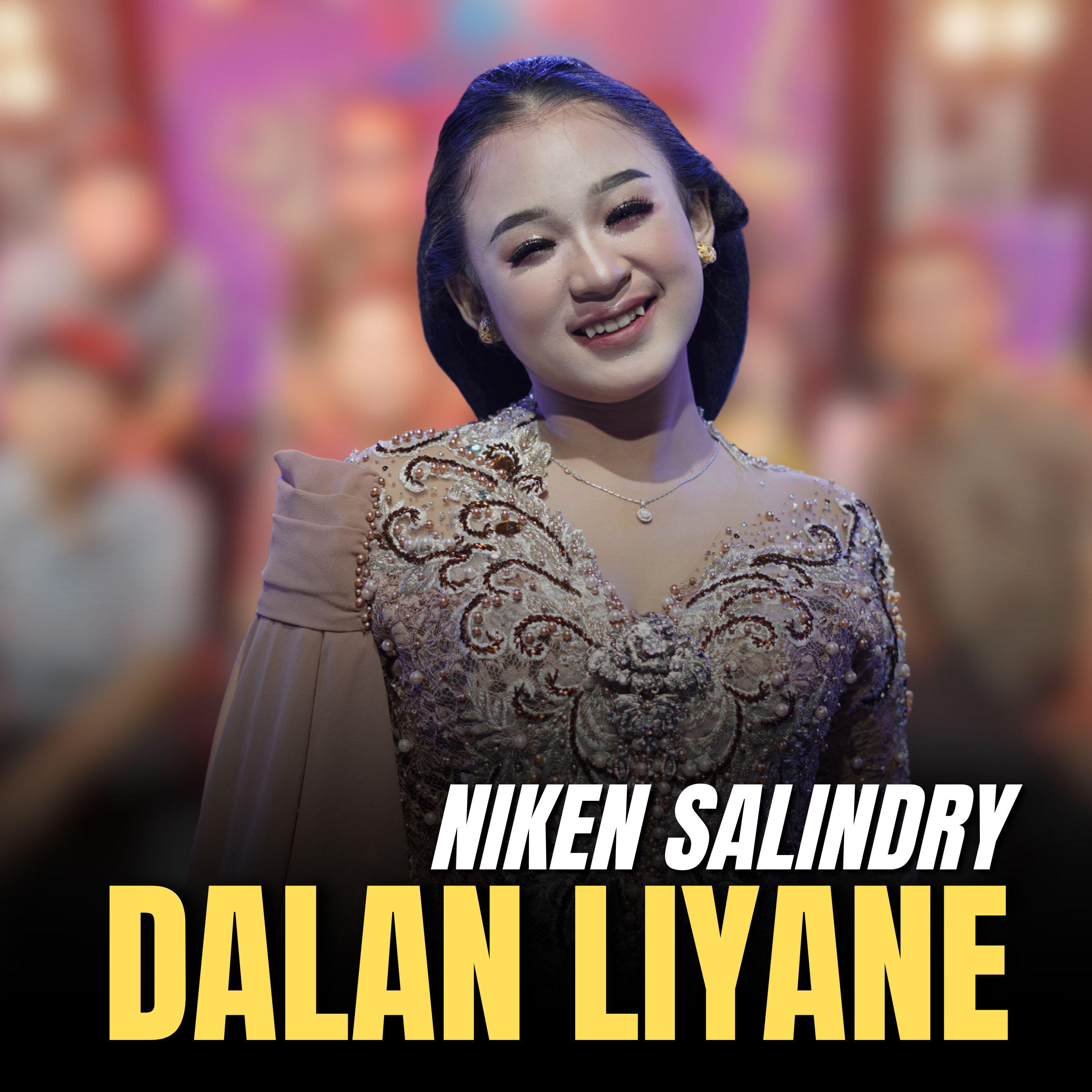 Постер альбома Dalan Liyane