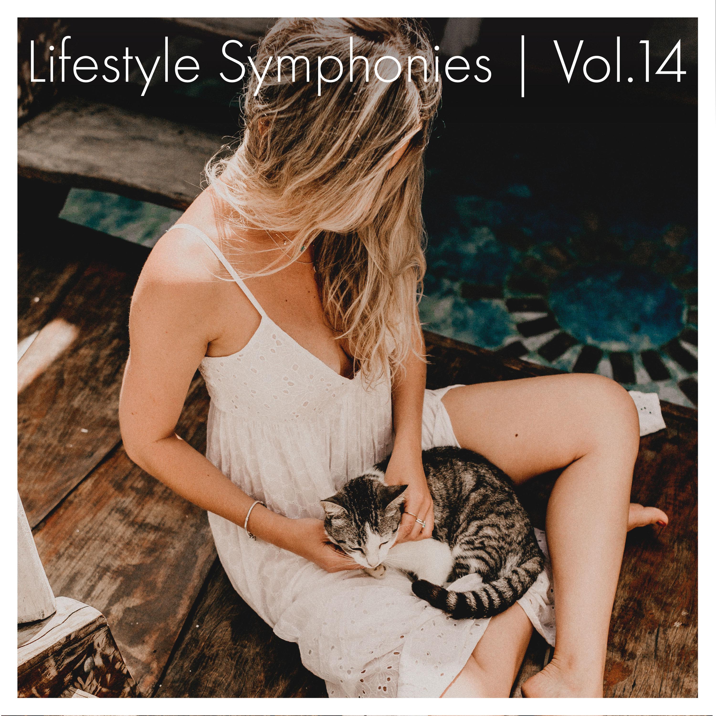 Постер альбома Lifestyle Symphonies, Vol. 14