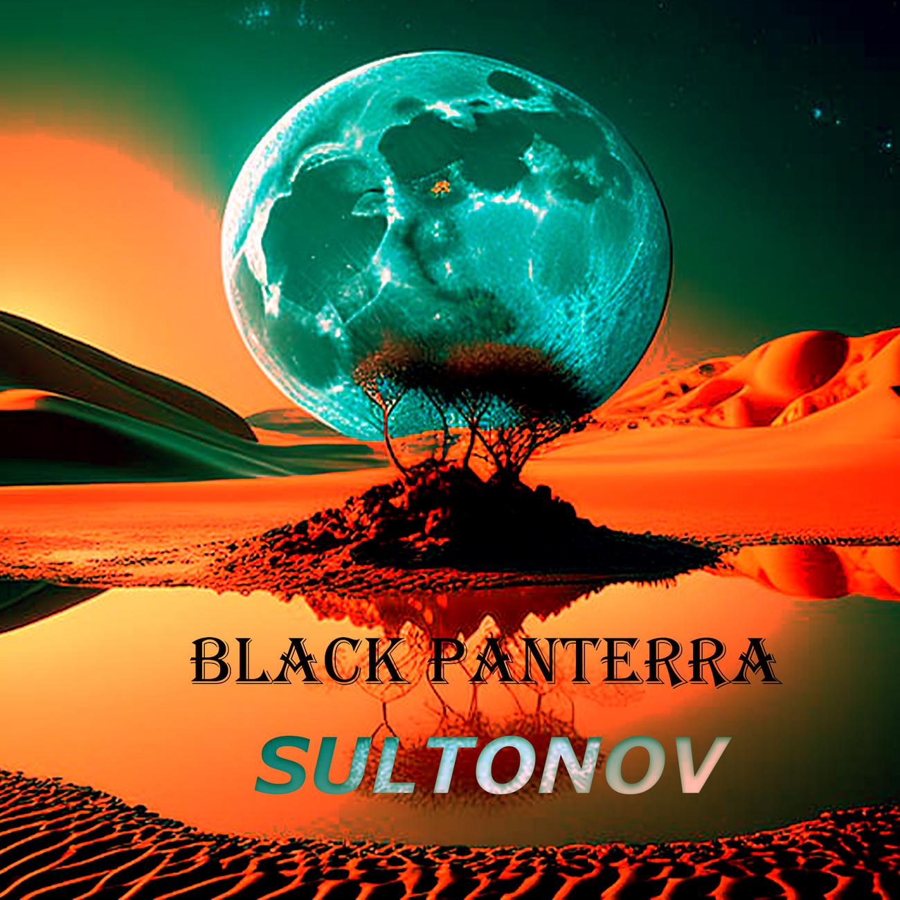 Постер альбома Black Panterra