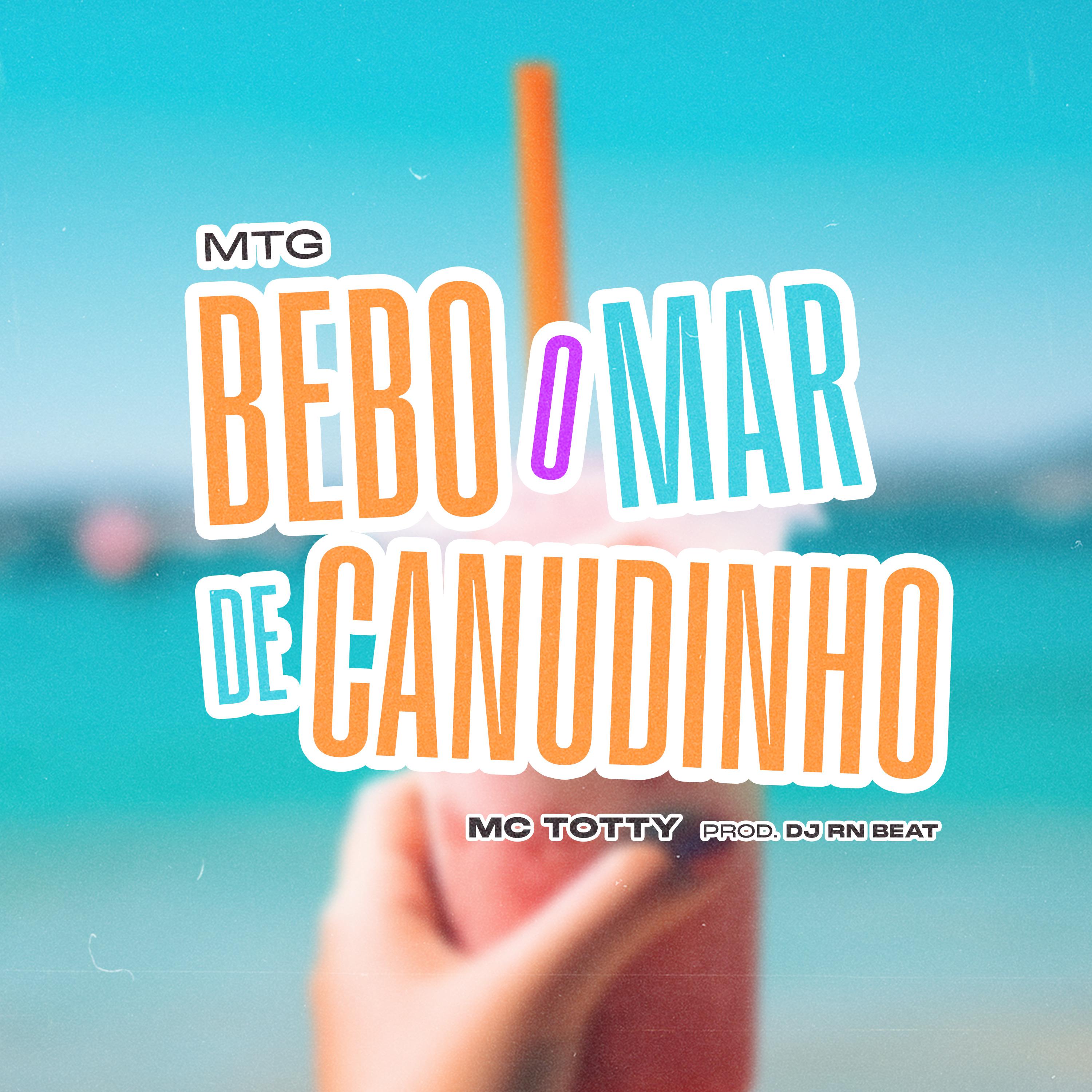 Постер альбома Mtg Bebo o Mar de Canudinho