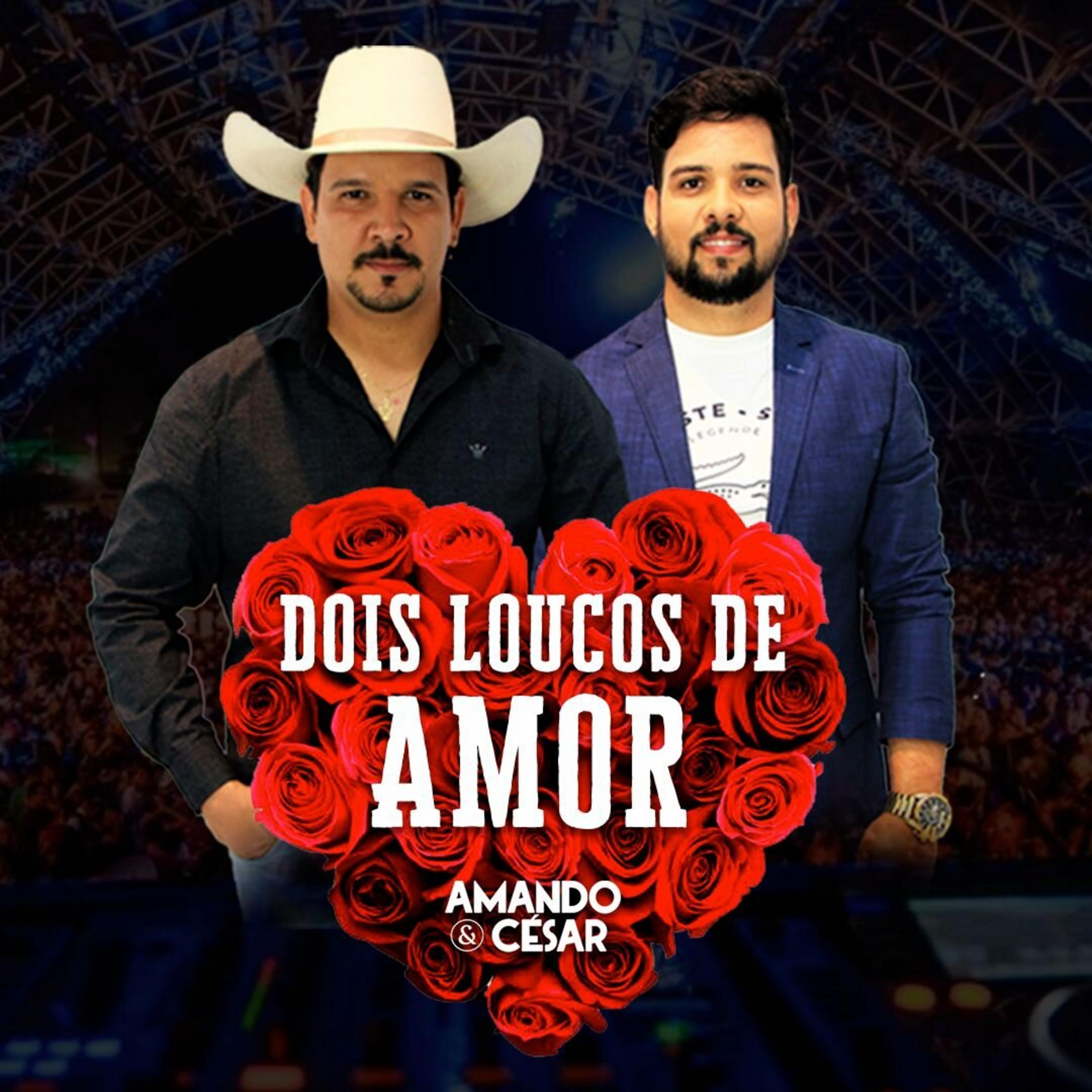Постер альбома Dois Loucos de Amor