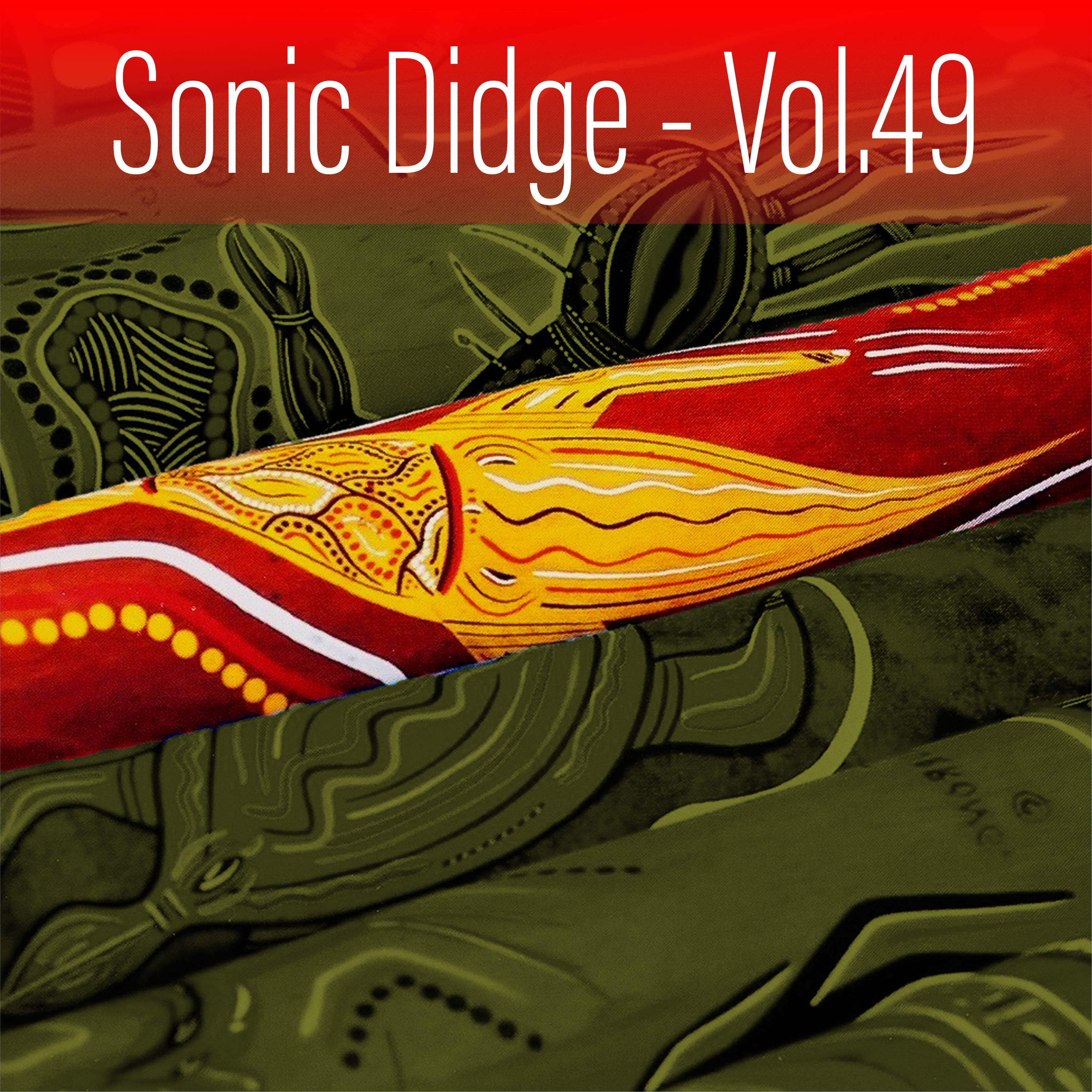 Постер альбома Sonic Didge, Vol. 49