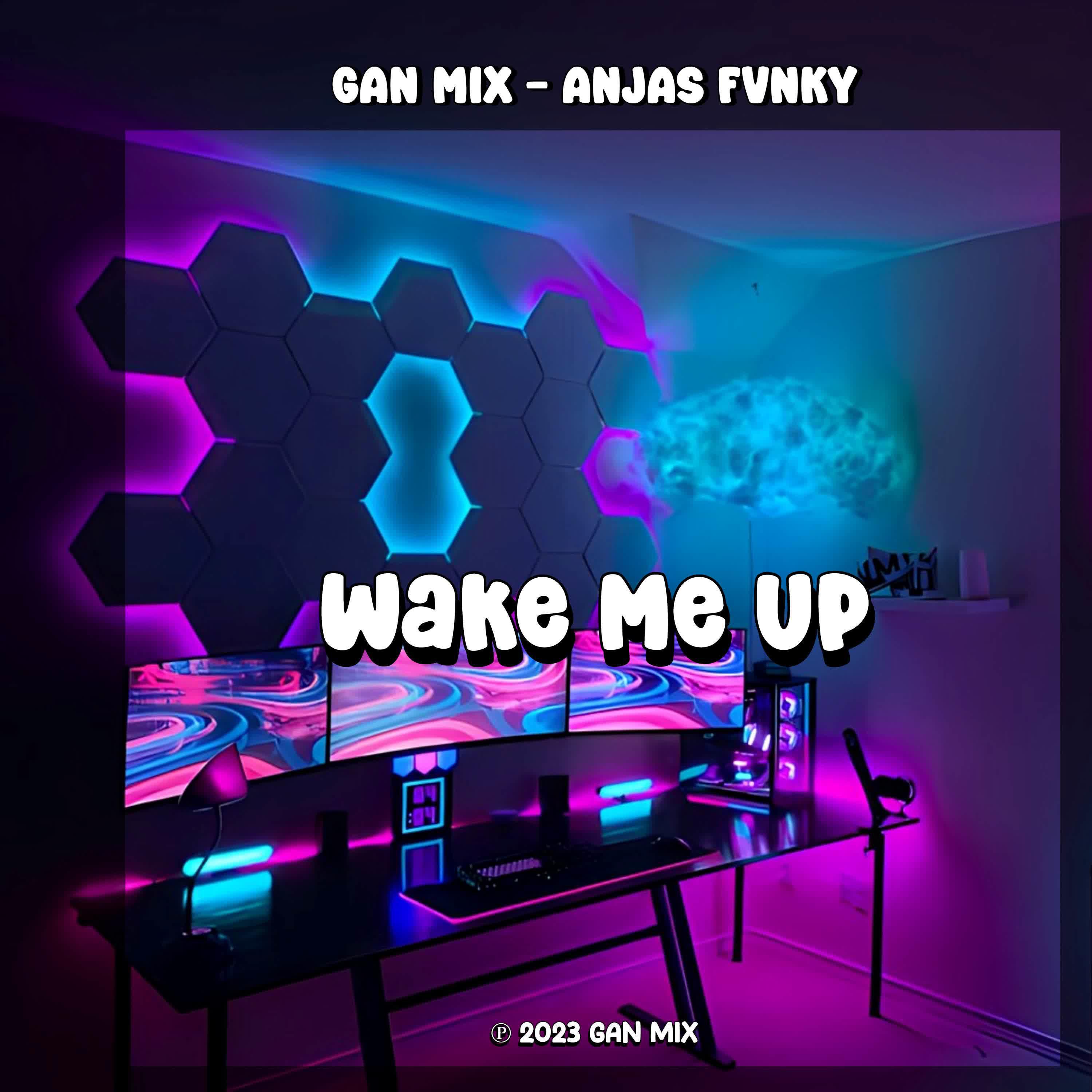 Постер альбома DJ Wake Me Up