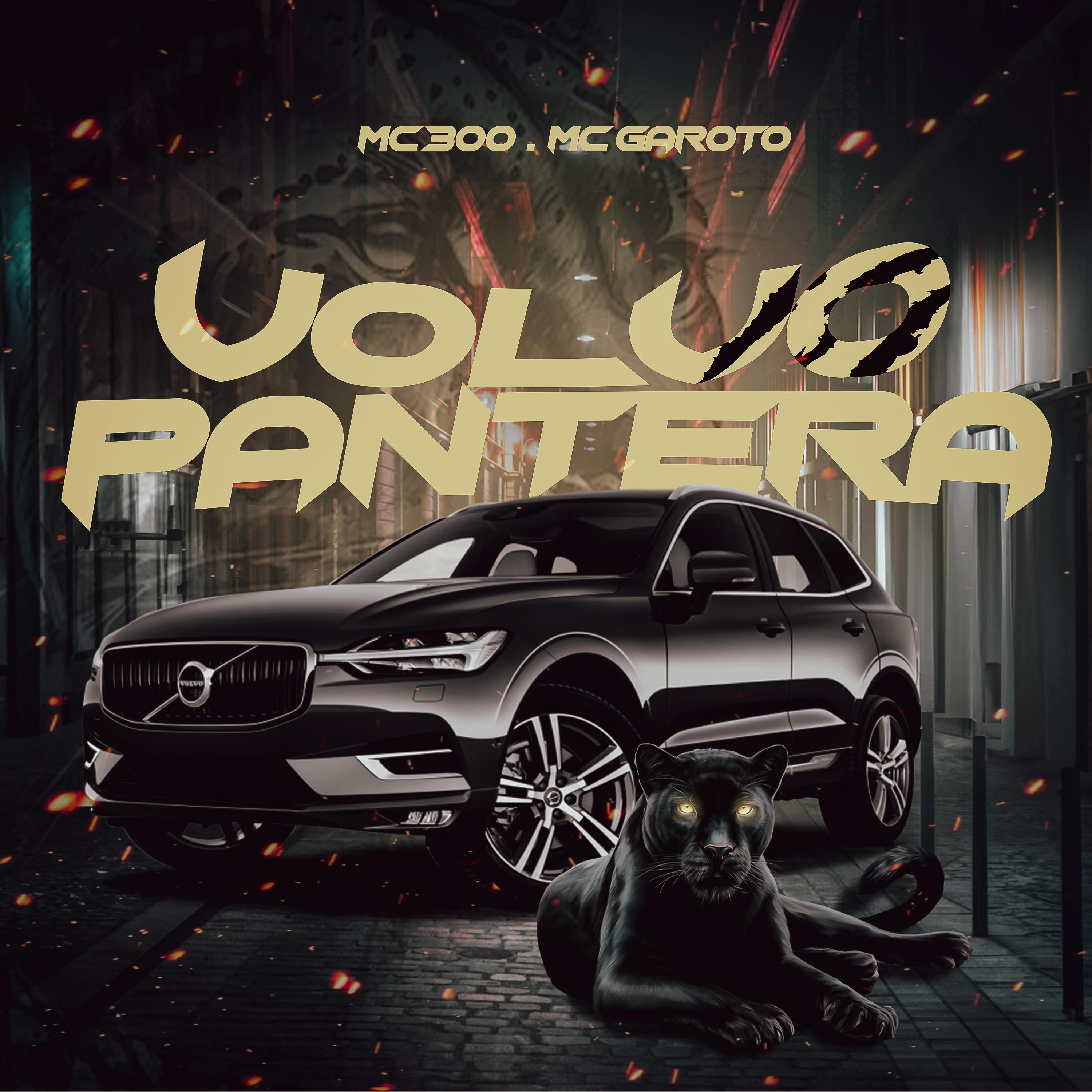 Постер альбома Volvo Pantera