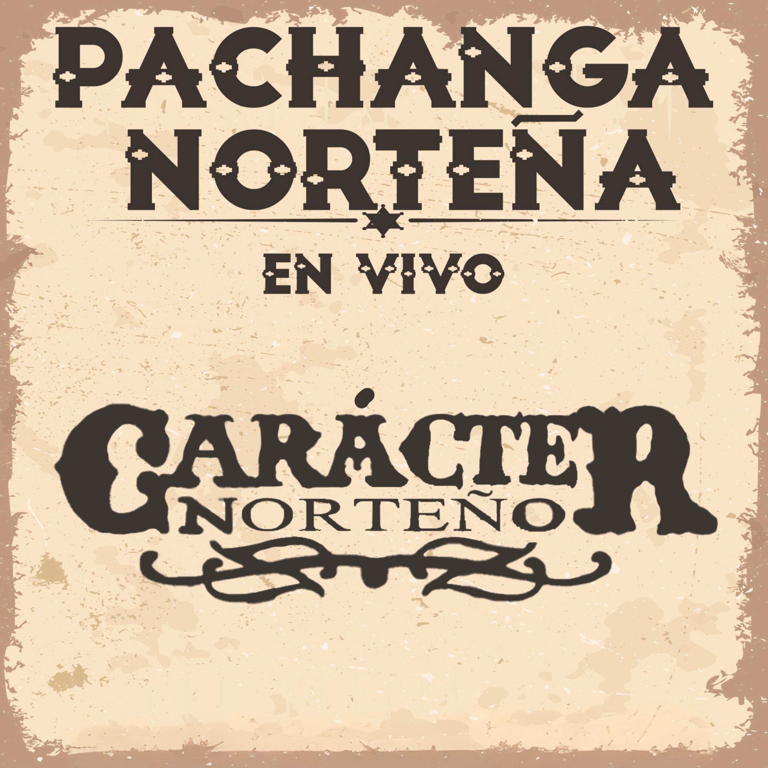 Постер альбома Pachanga Norteña