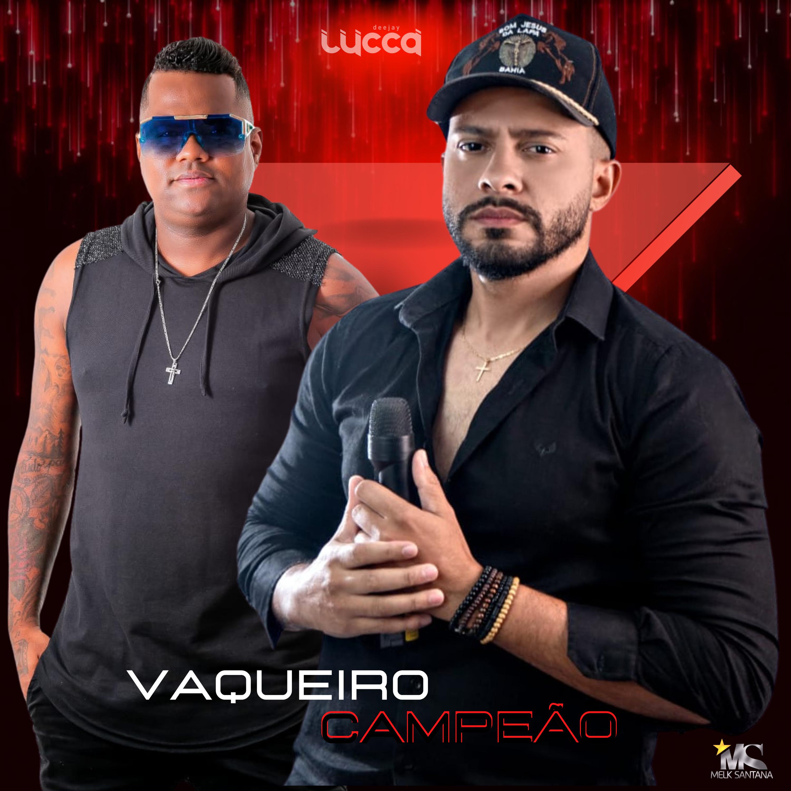 Постер альбома Vaqueiro Campeão