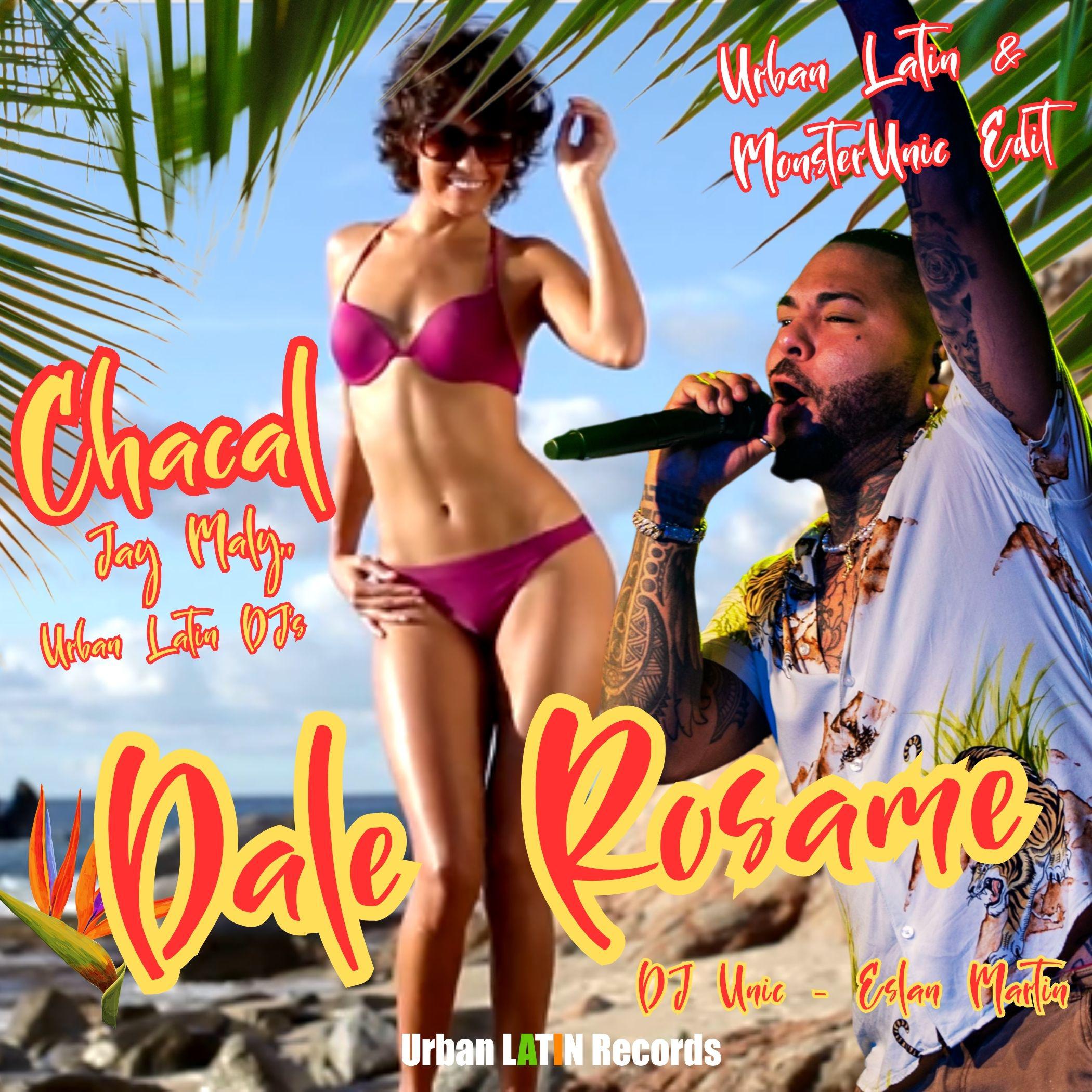 Постер альбома Dale Rosame