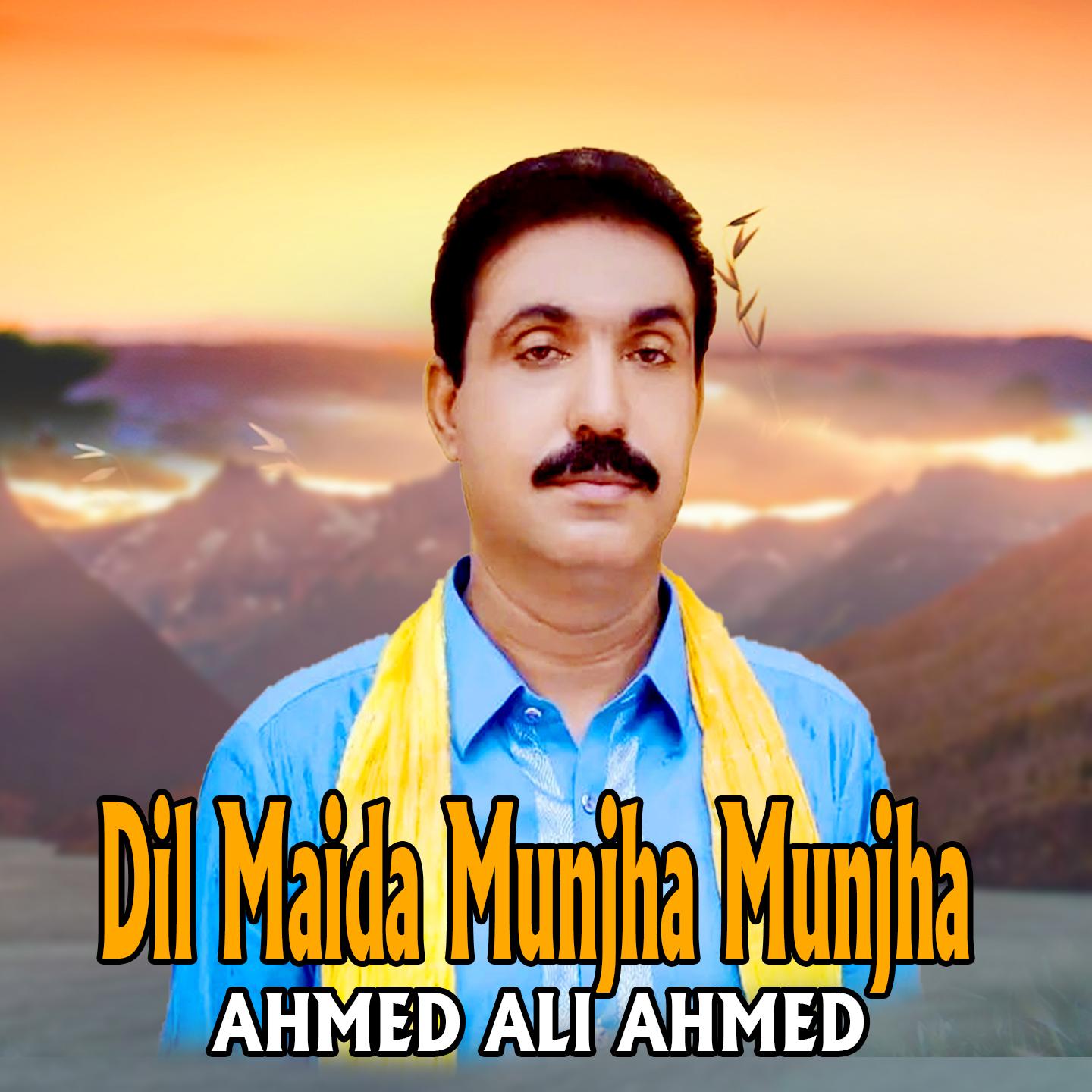 Постер альбома Dil Maida Munjha Munjha