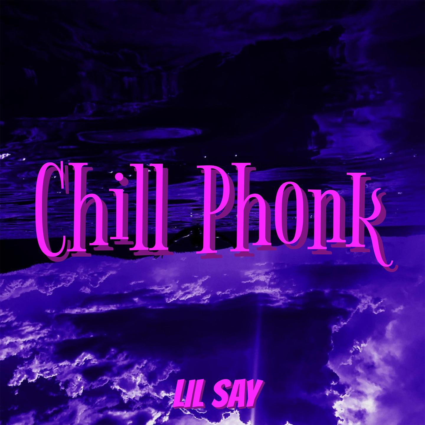 Постер альбома Chill Phonk