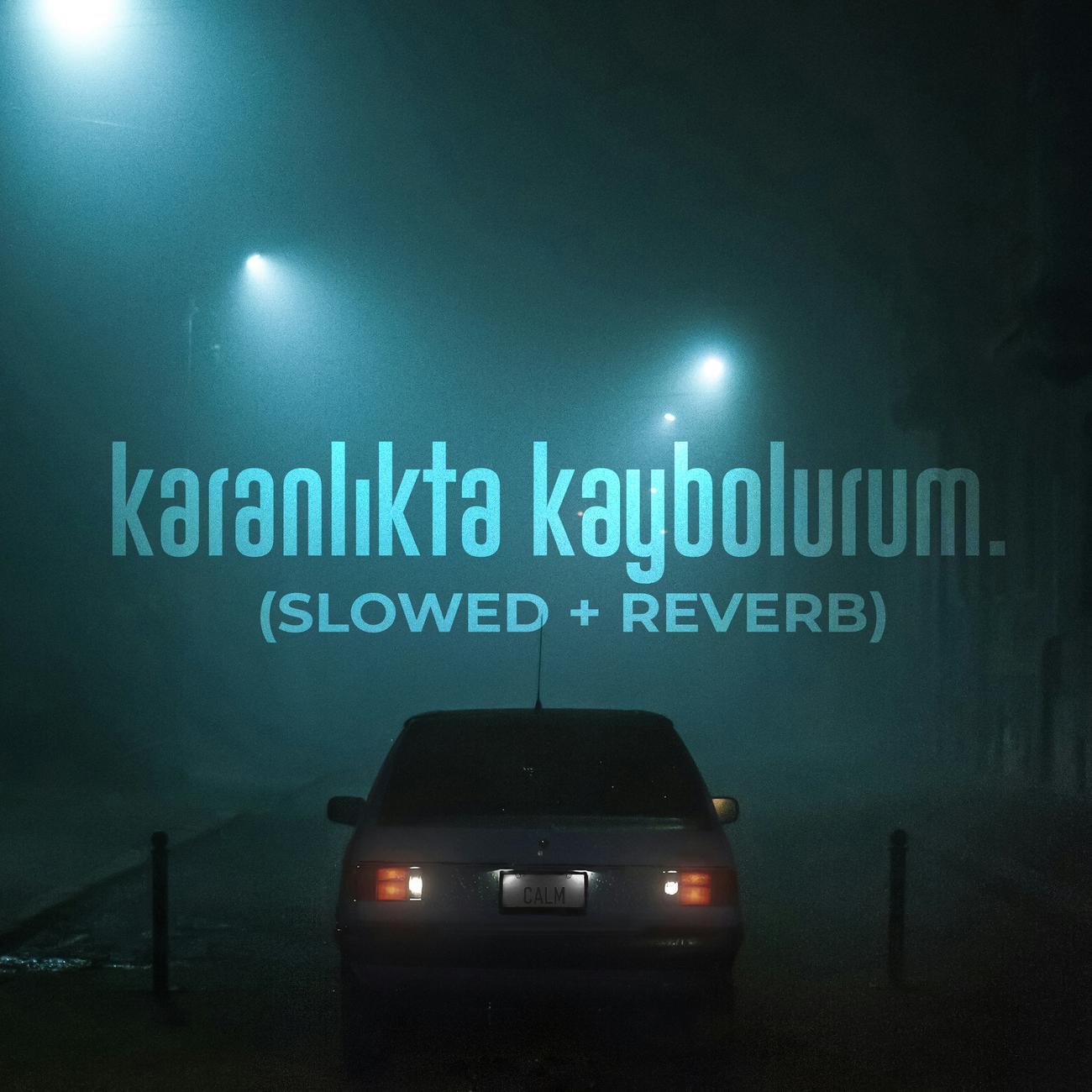 Постер альбома Karanlıkta Kaybolurum (Slowed + Reverb)