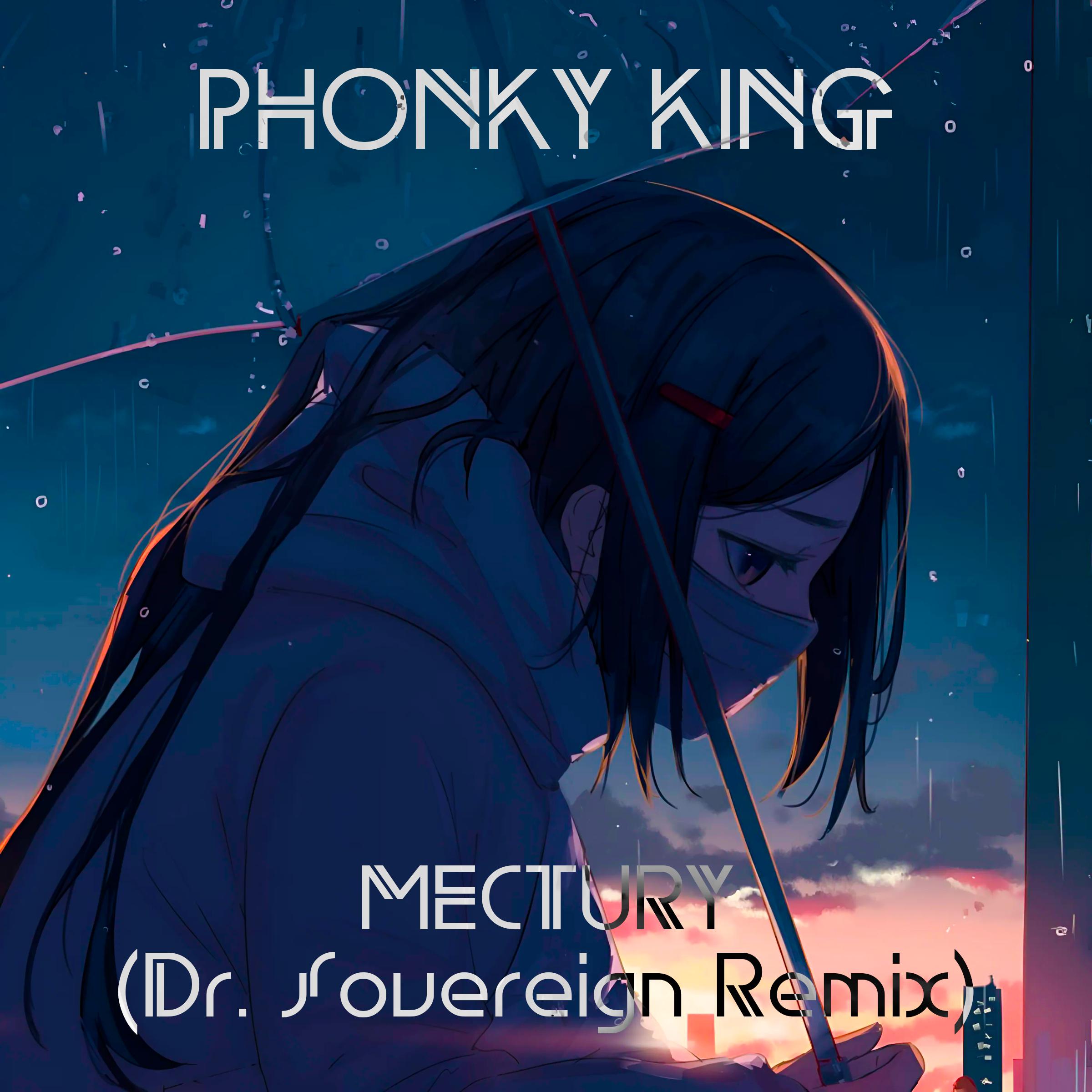 Постер альбома MECTURY (Dr. Sovereign Remix)