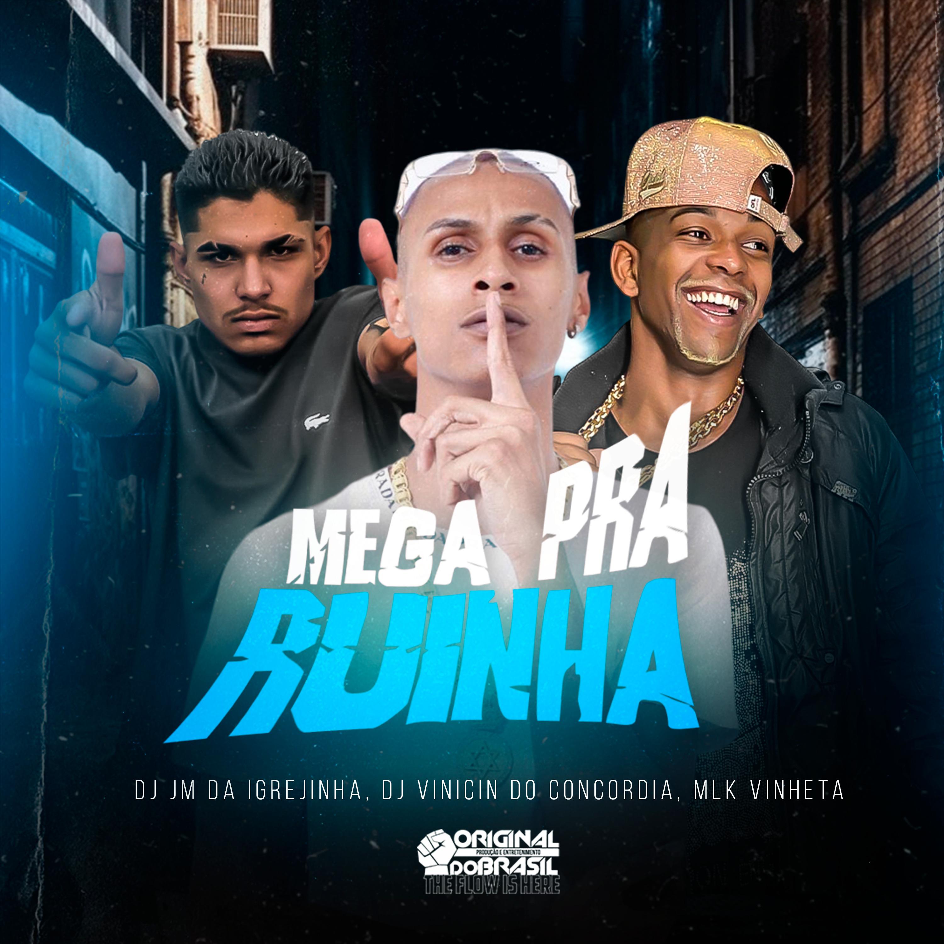 Постер альбома Mega pra Ruinha