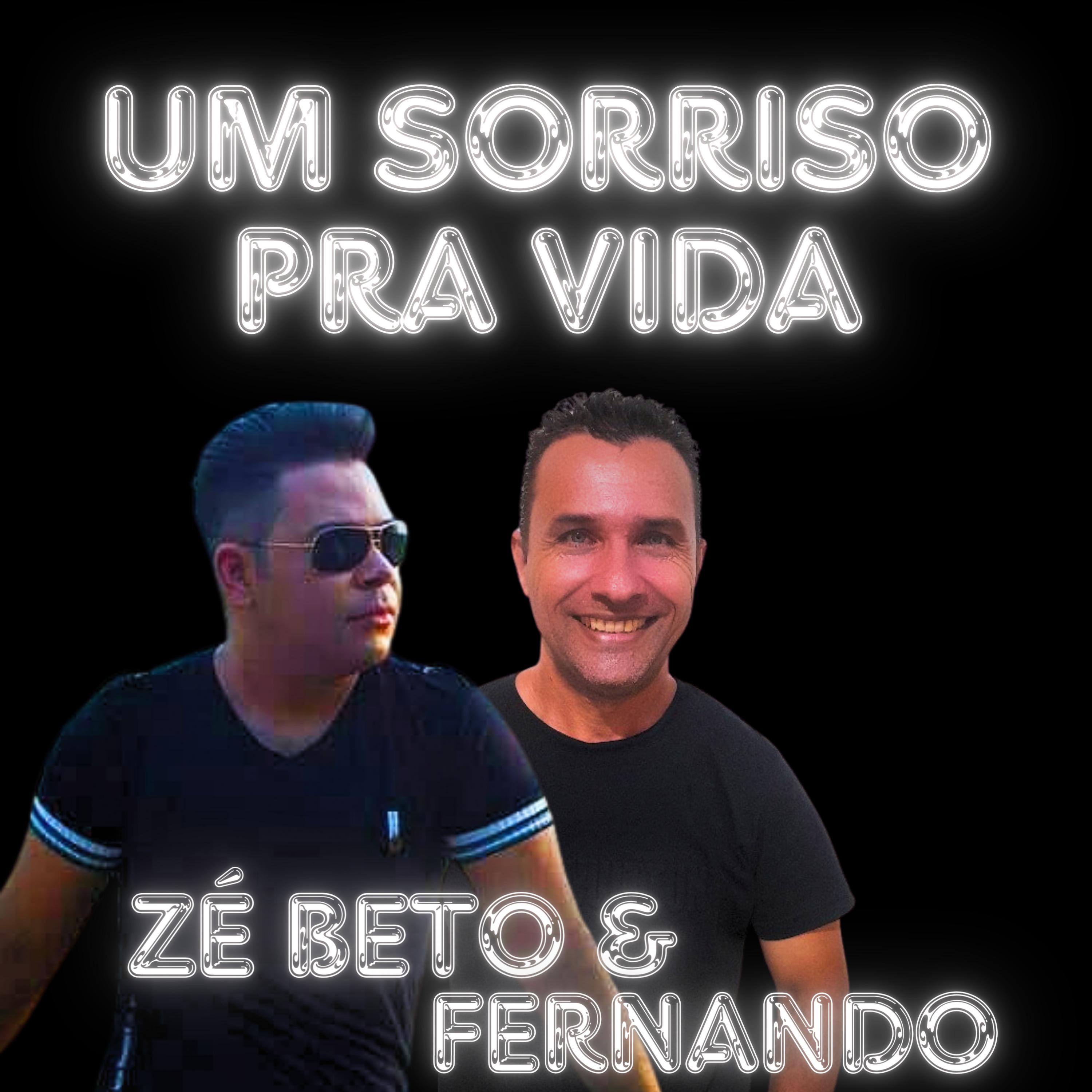 Постер альбома Um Sorriso pra Vida
