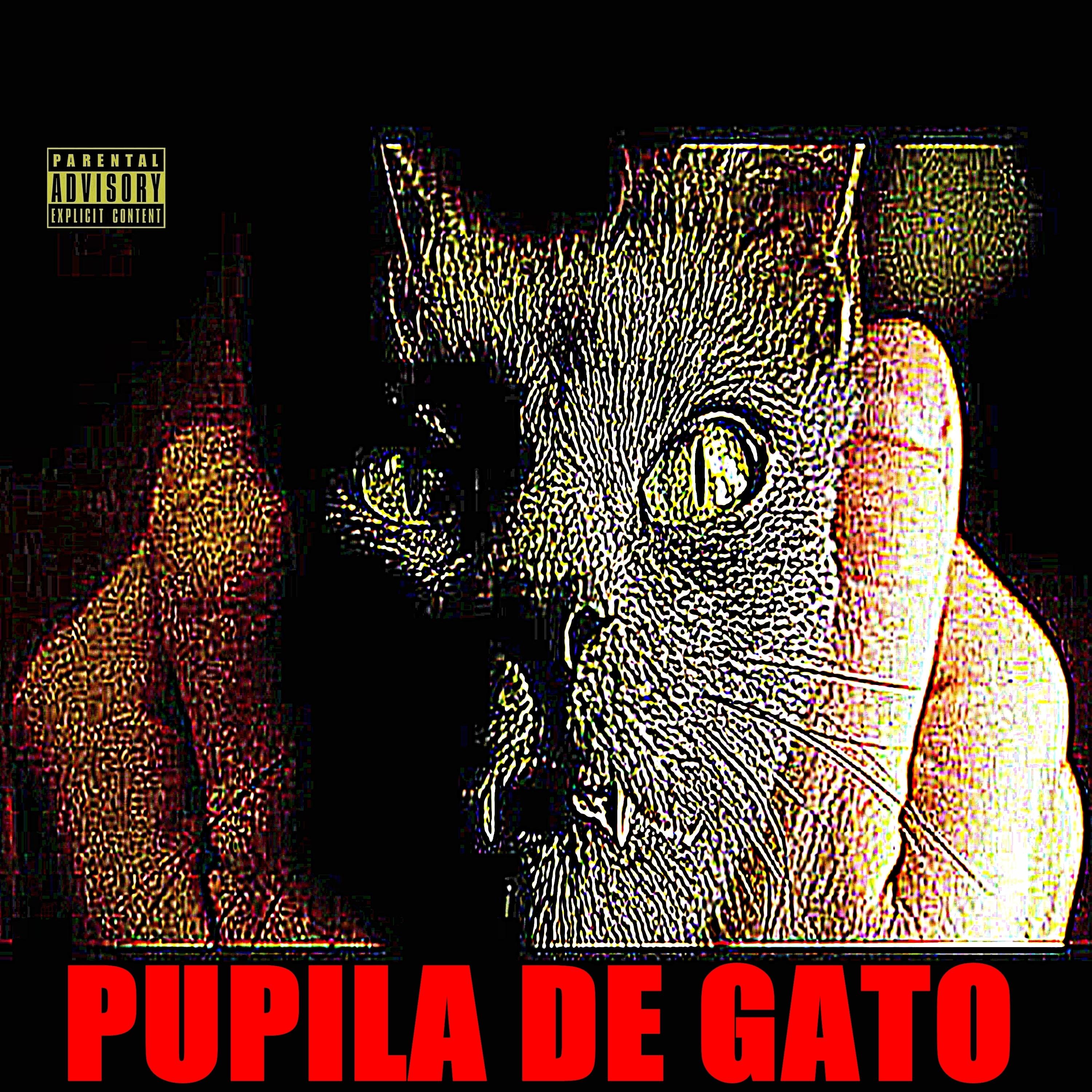 Постер альбома Pupila de Gato
