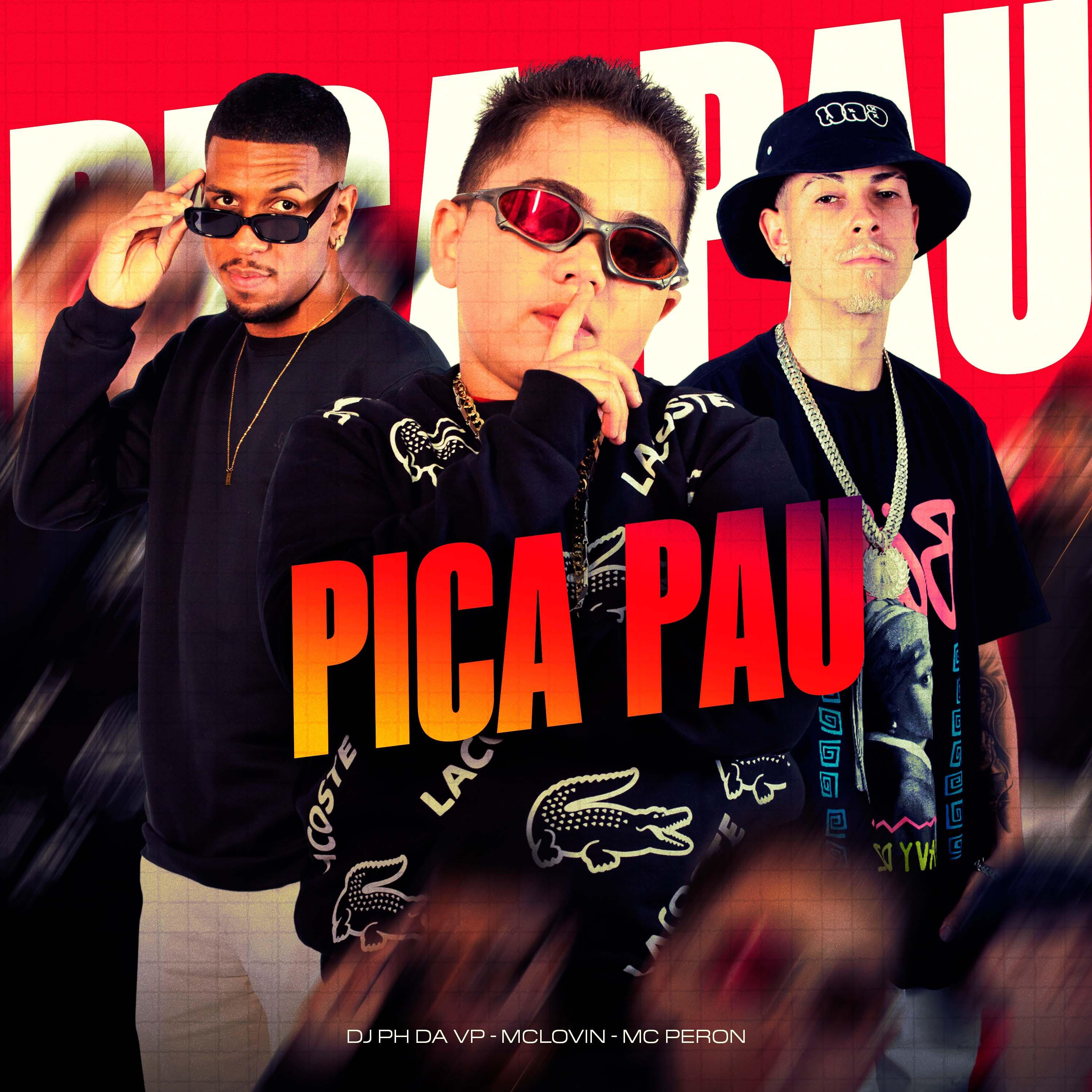 Постер альбома Pica Pau