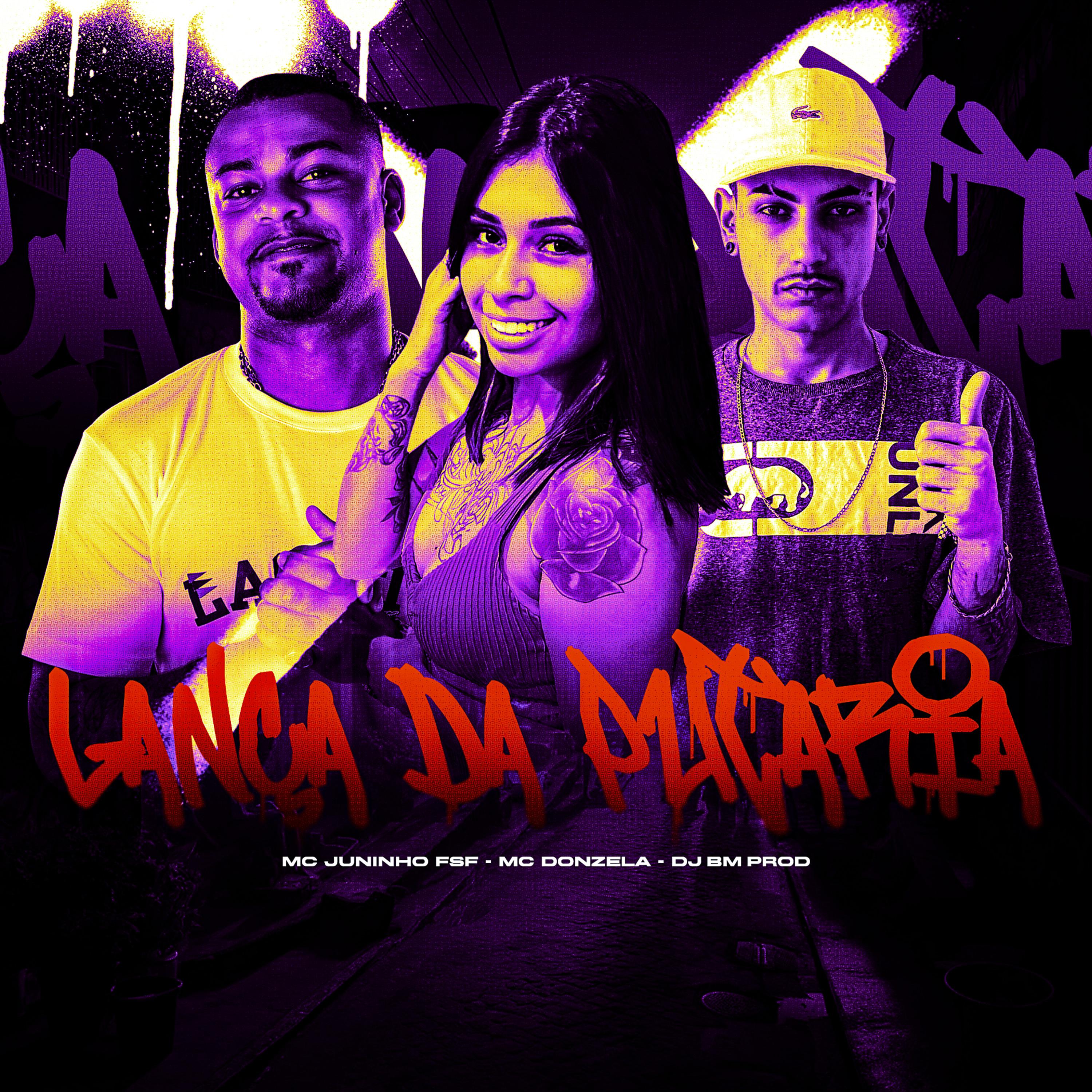 Постер альбома Lança da Putaria