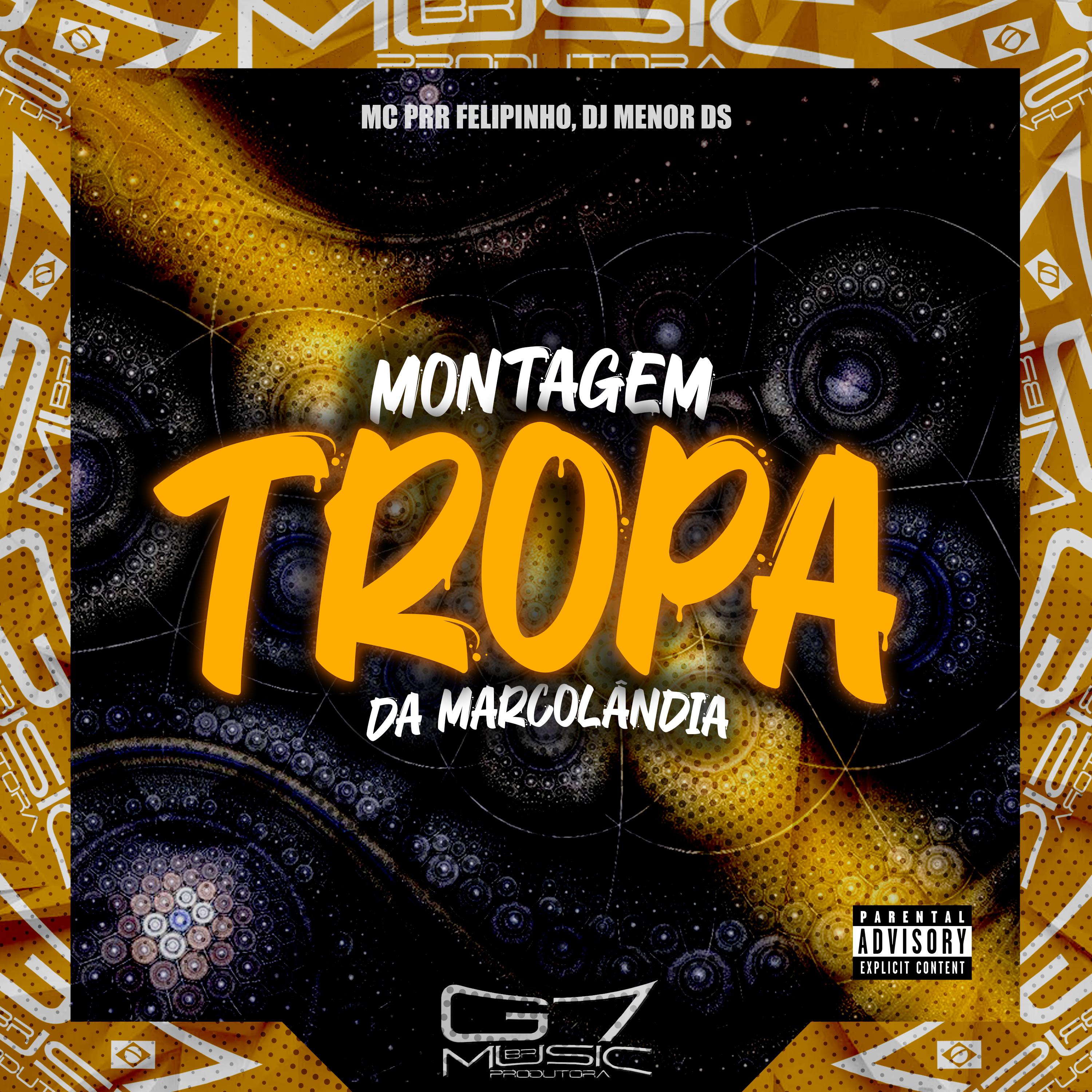 Постер альбома Montagem Tropa da Marcolândia