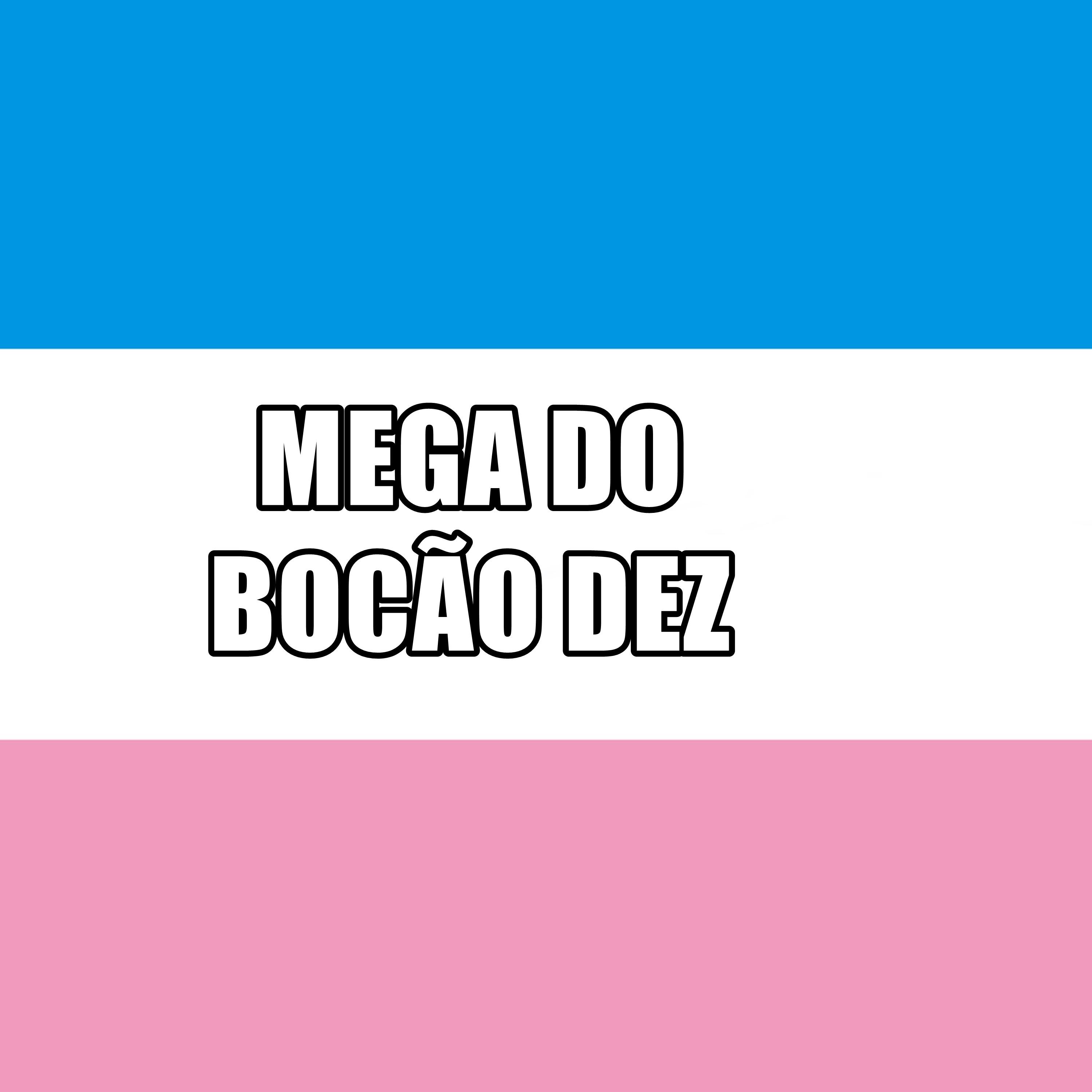 Постер альбома Mega do Bocão Dez