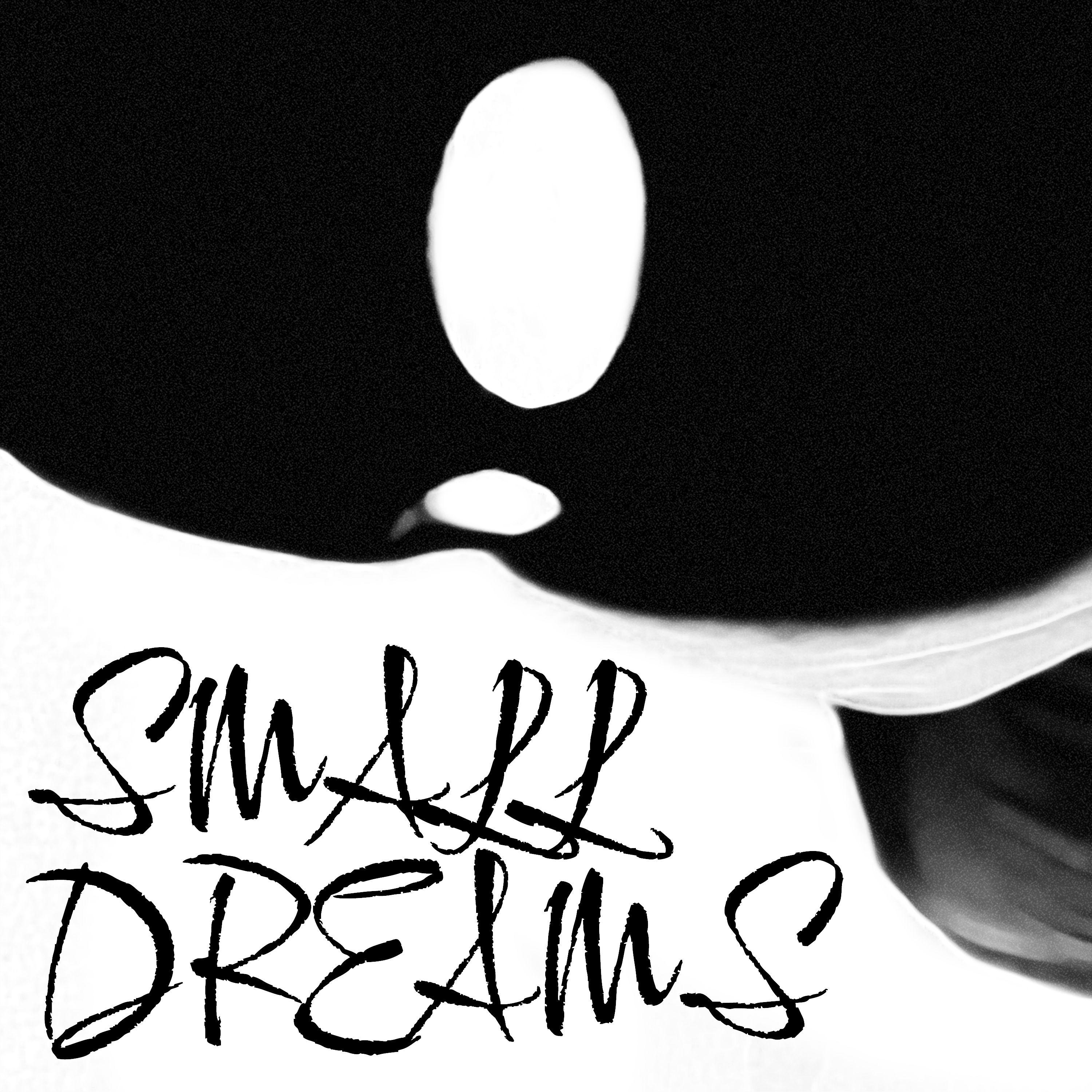 Постер альбома Small Dreams