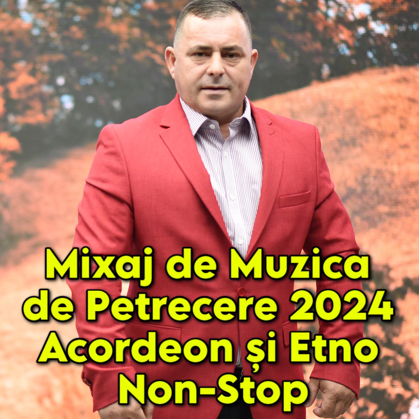 Постер альбома Mixaj de Muzica de Petrecere 2024 Acordeon și Etno Non-Stop