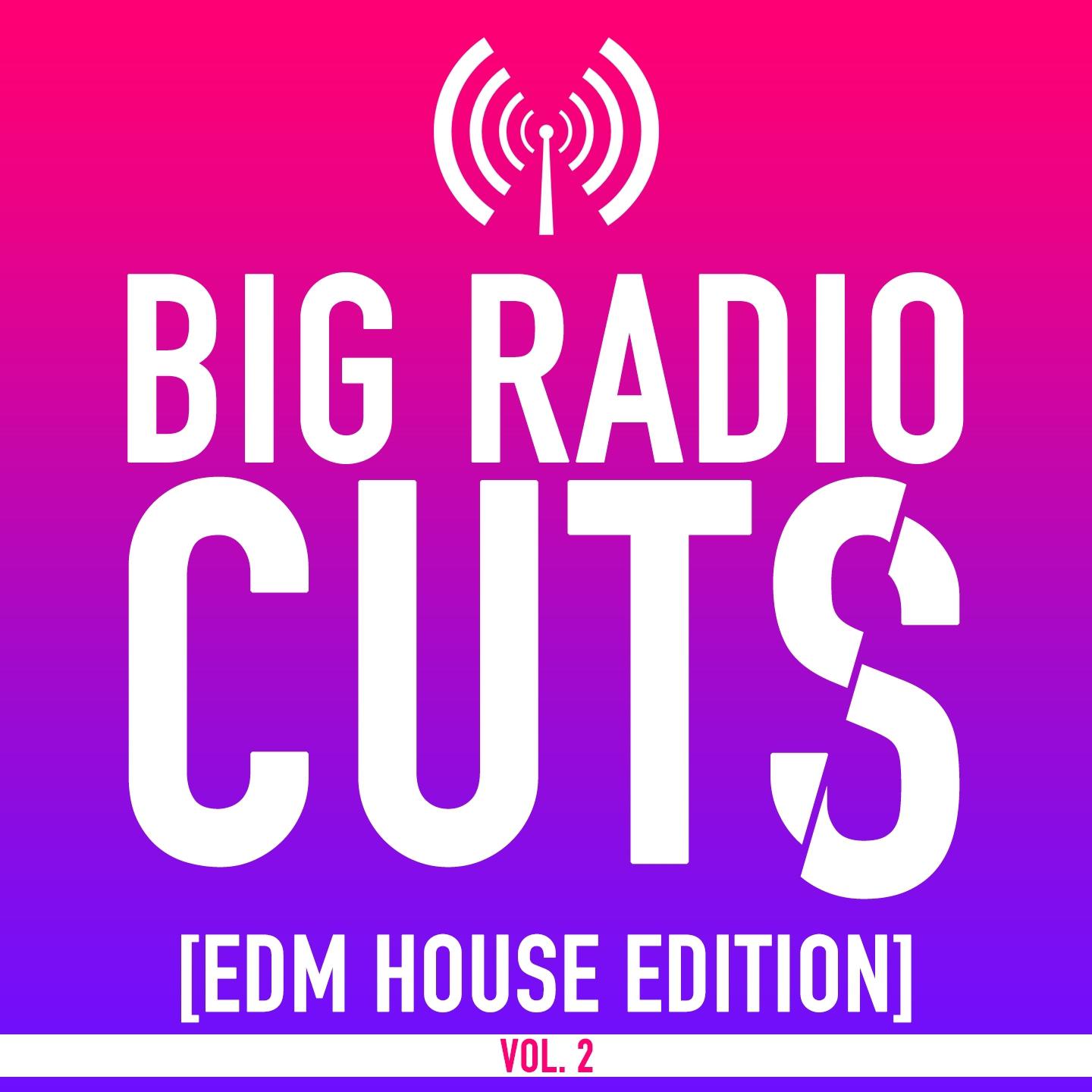 Постер альбома Big Radio Cuts (EDM House Edition), Vol. 2