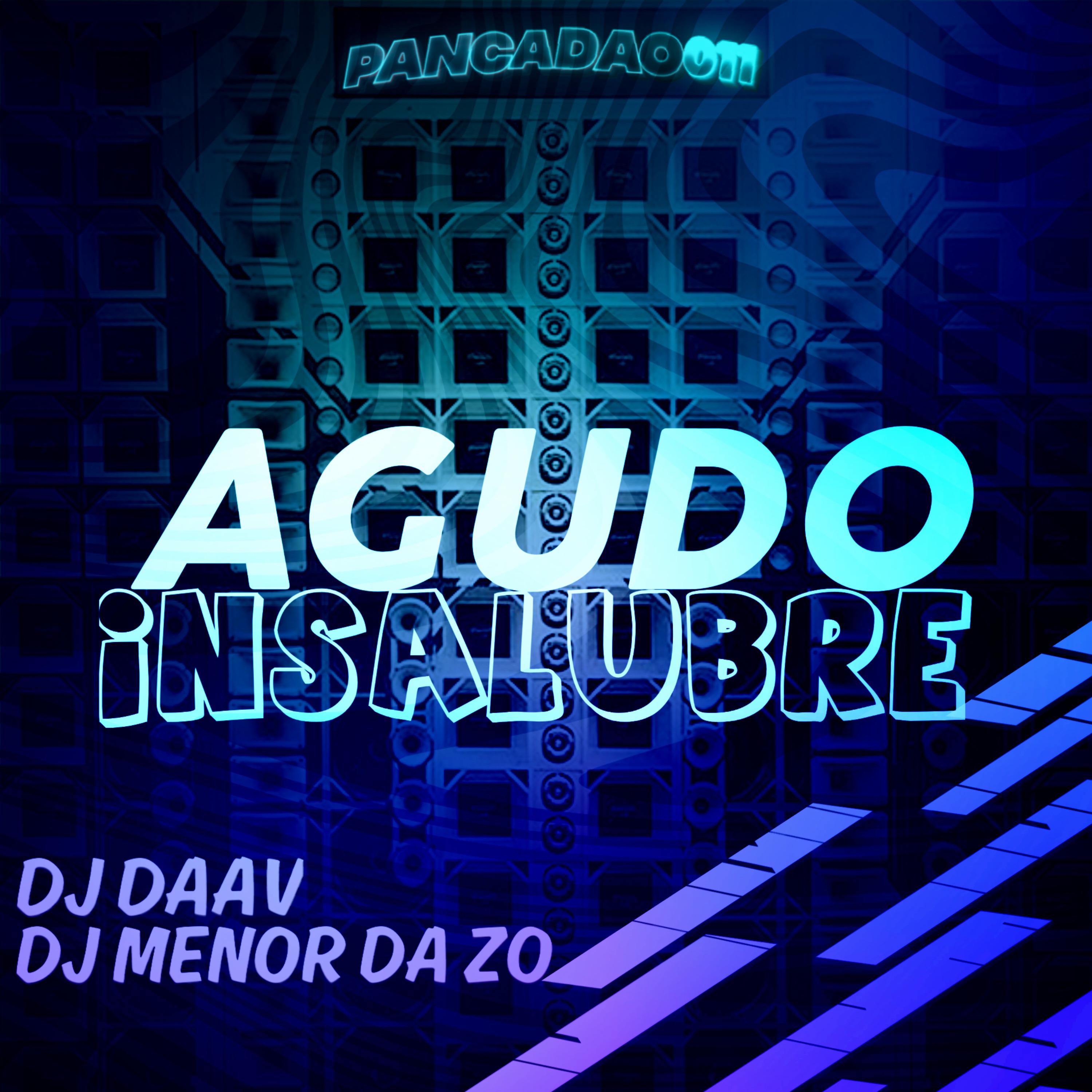 Постер альбома Agudo Insalubre
