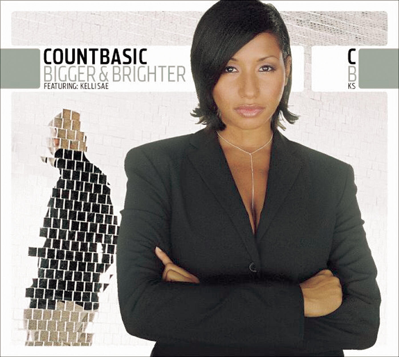 Count Basic - User