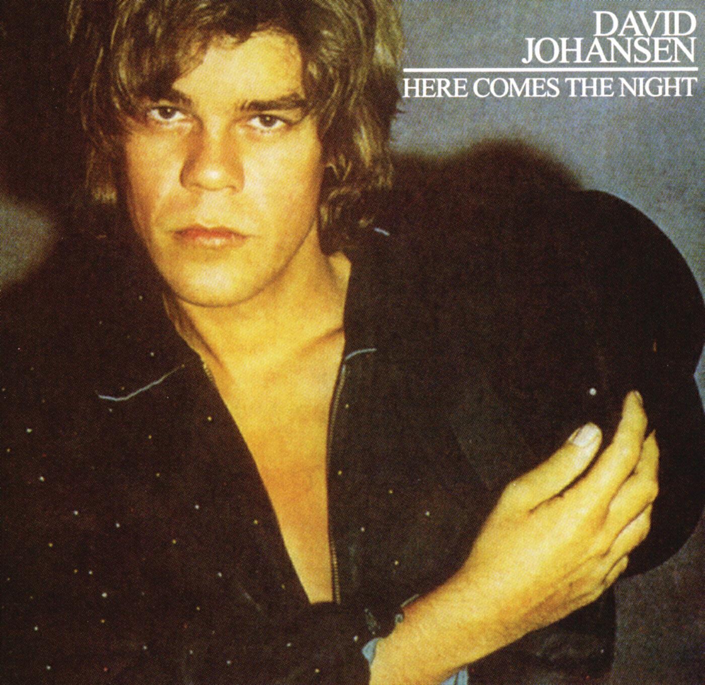 David Johansen - Havin' So Much Fun