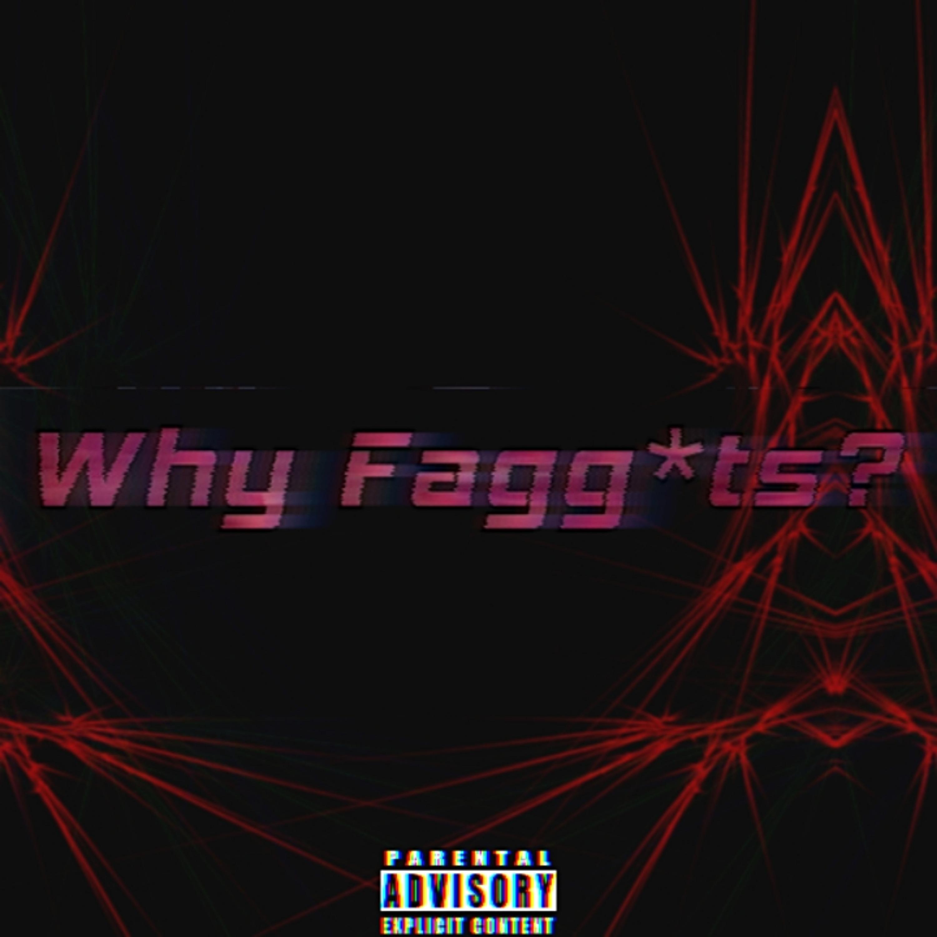 Постер альбома Why Fagg*ts? (feat. ПОТАШКО)