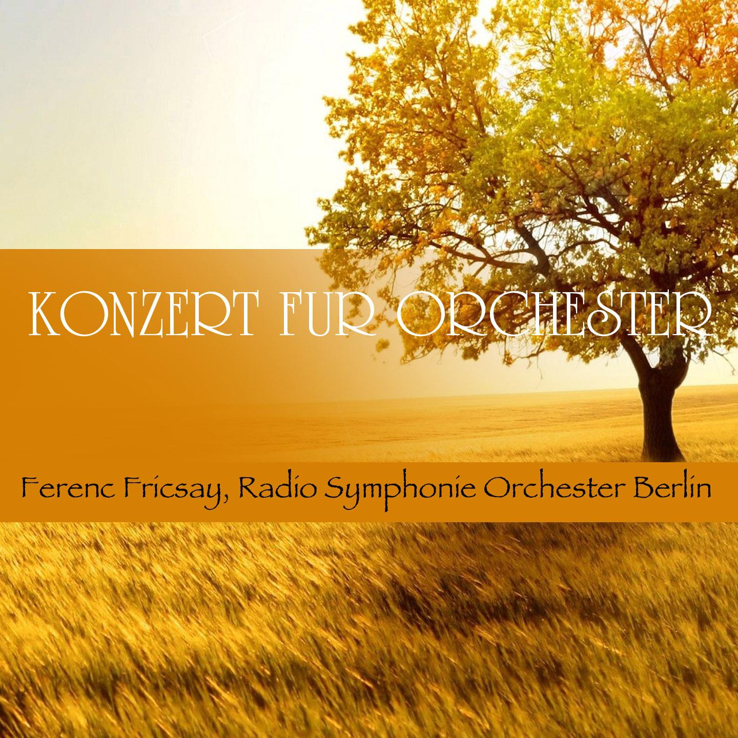 Постер альбома Konzert für Orchester
