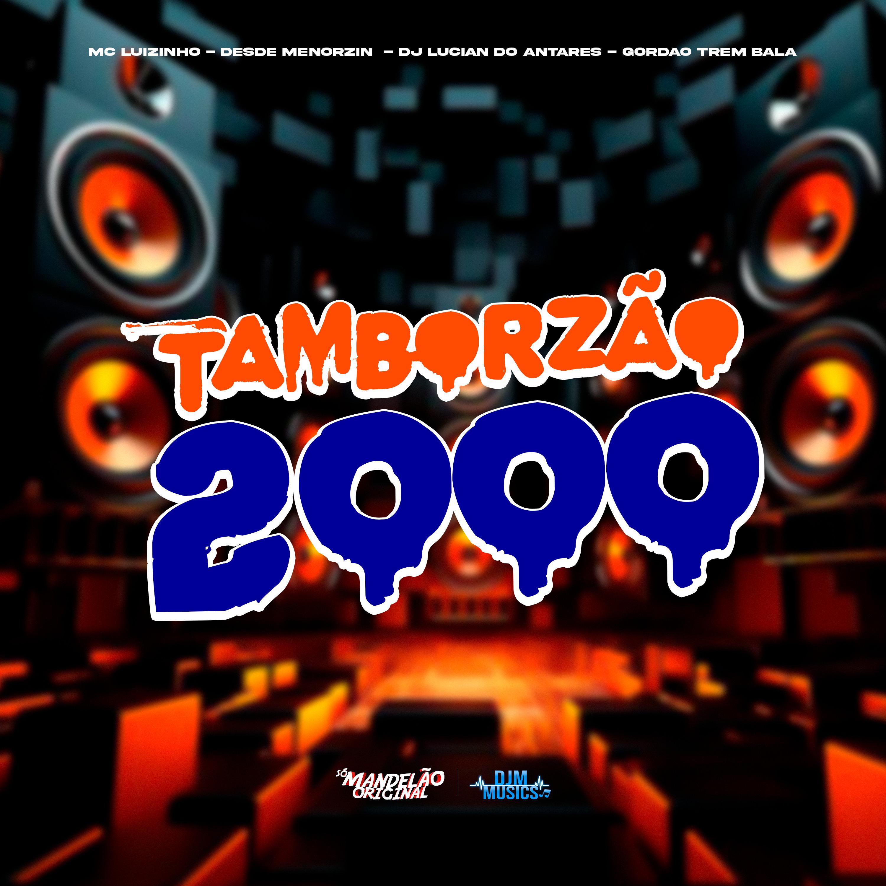Постер альбома Tamborzão 2000