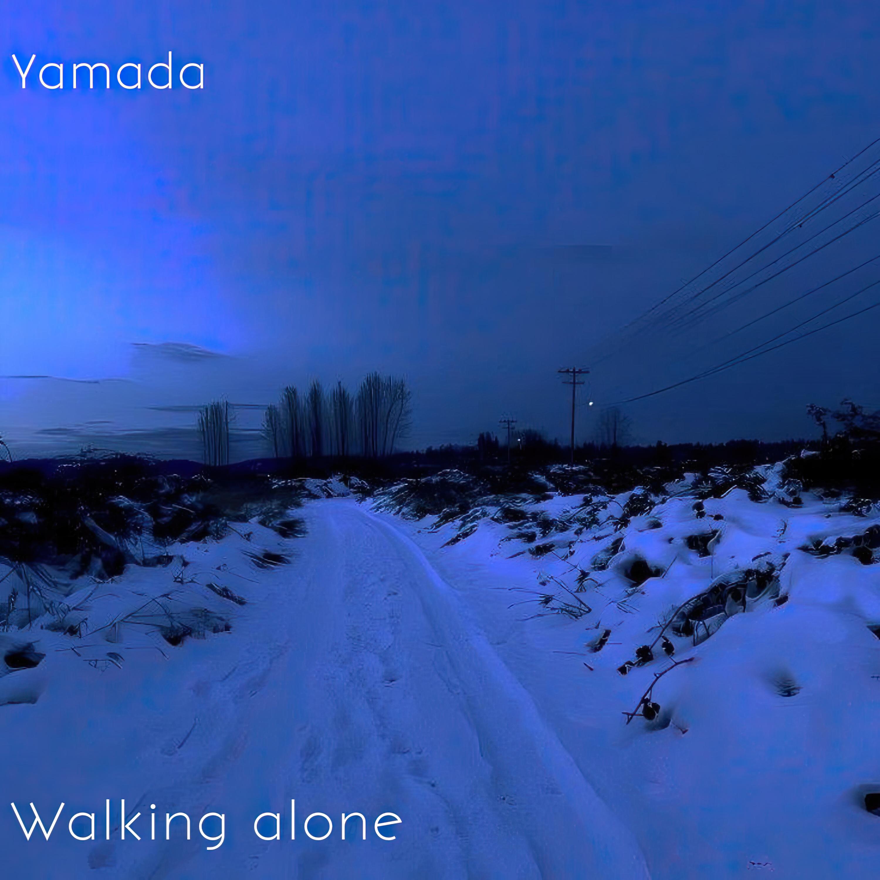 Постер альбома Walking alone