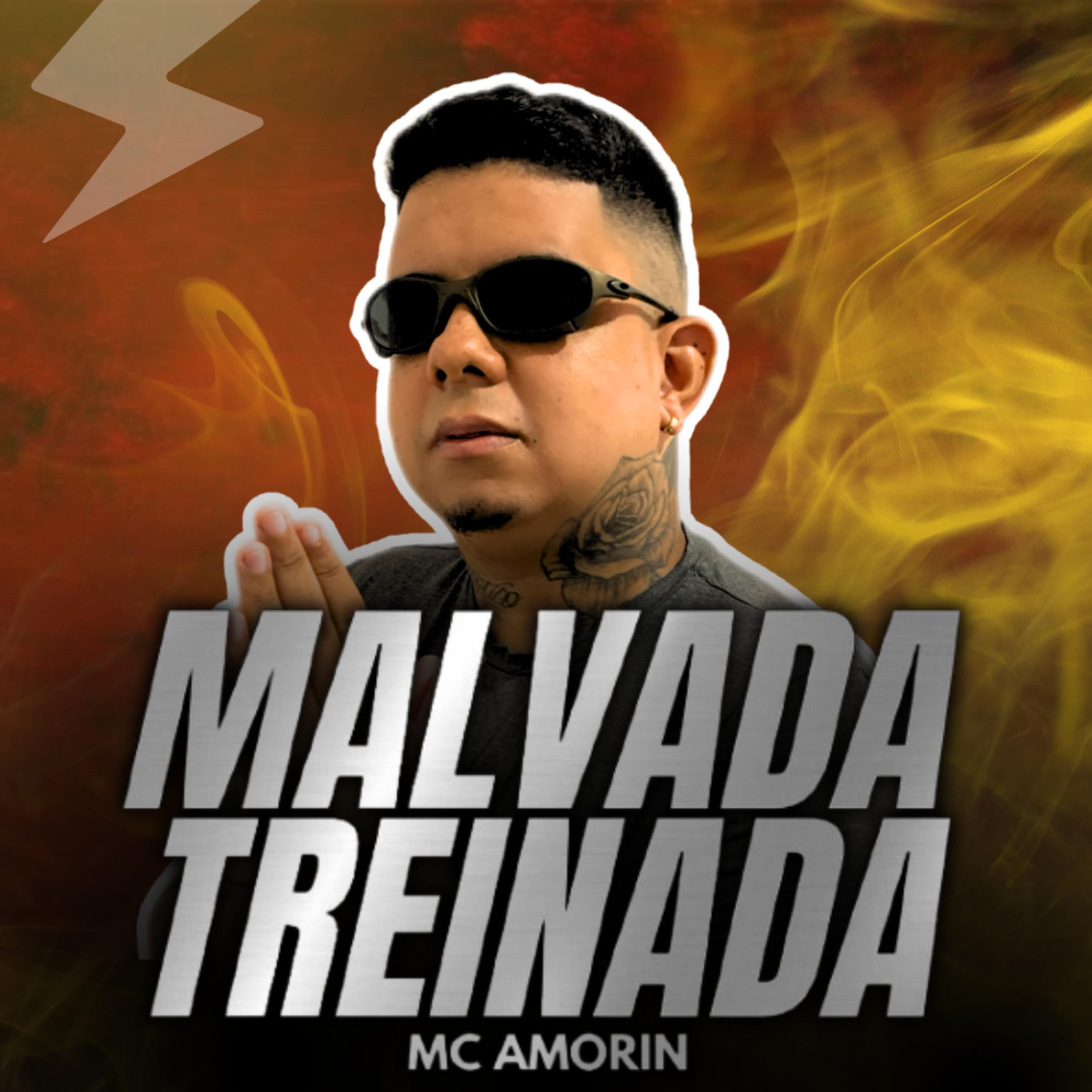 Постер альбома Malvada Treinada