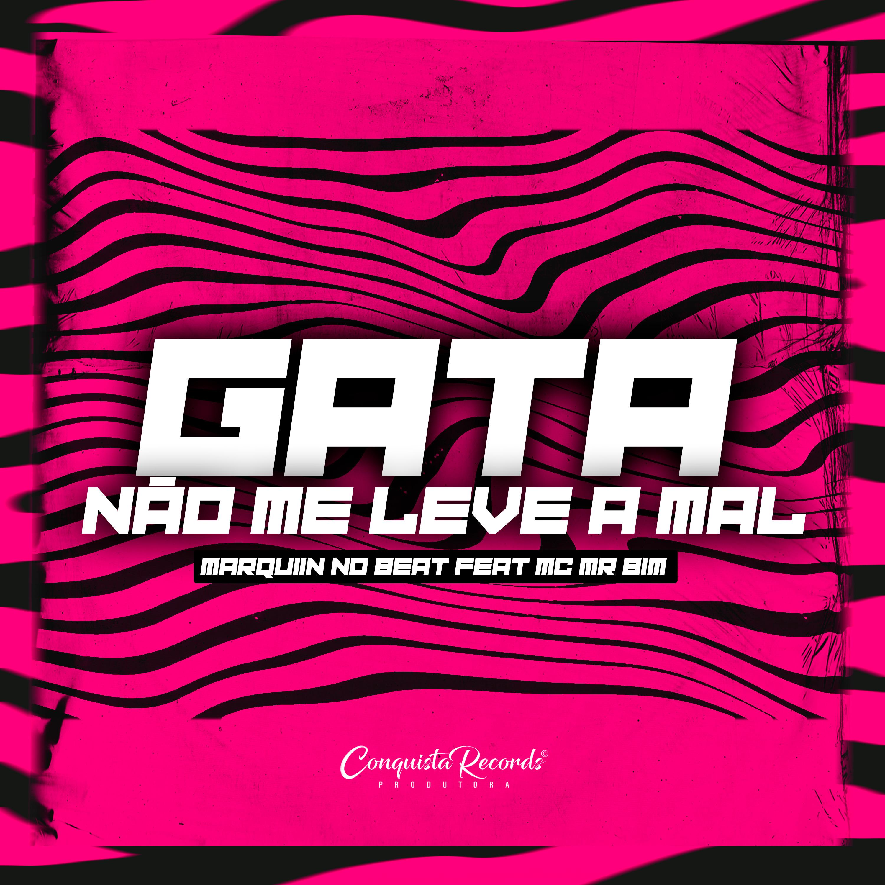 Постер альбома Gata Não Me Leve a Mal