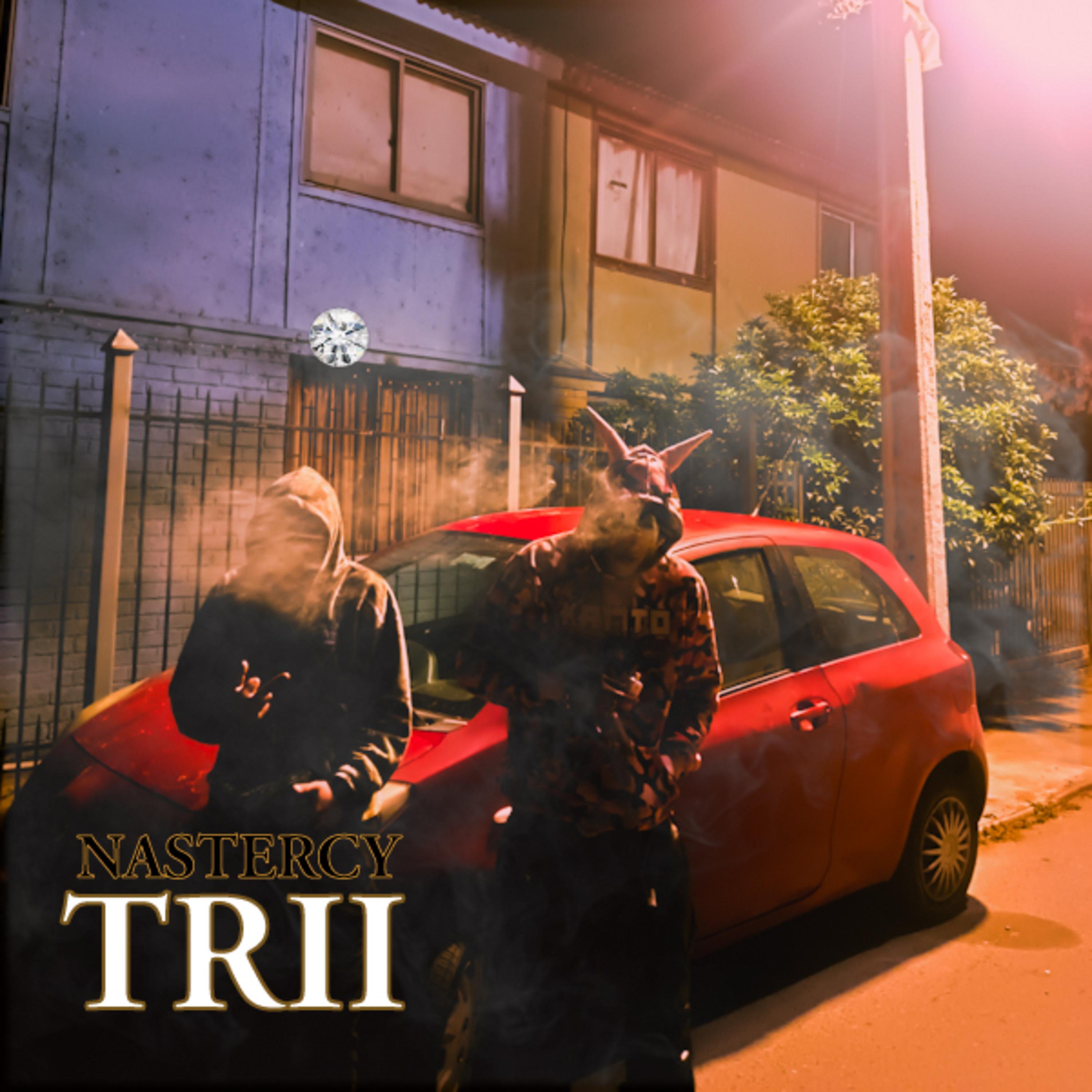 Постер альбома Trii