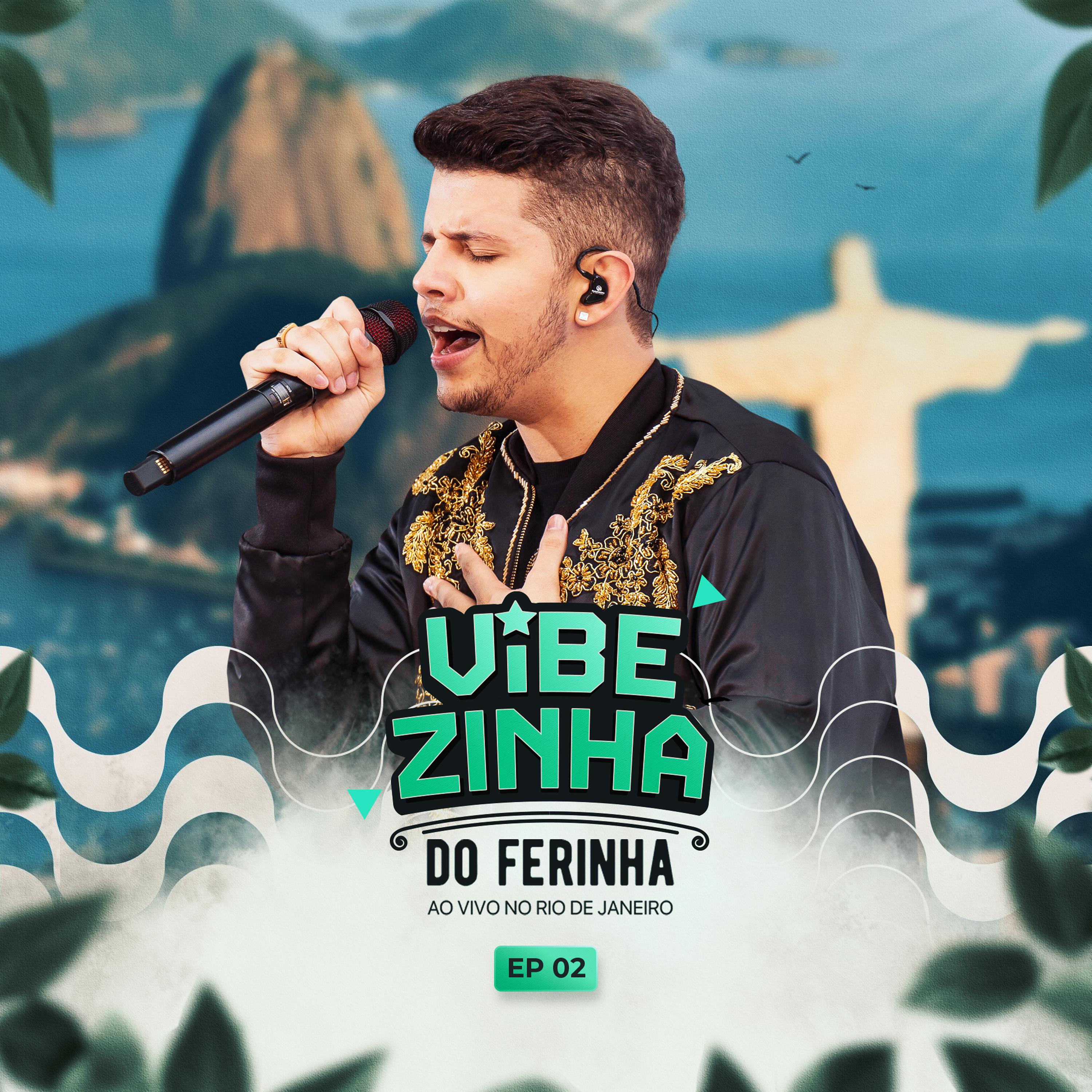 Постер альбома Vibezinha do Ferinha, Ep 02