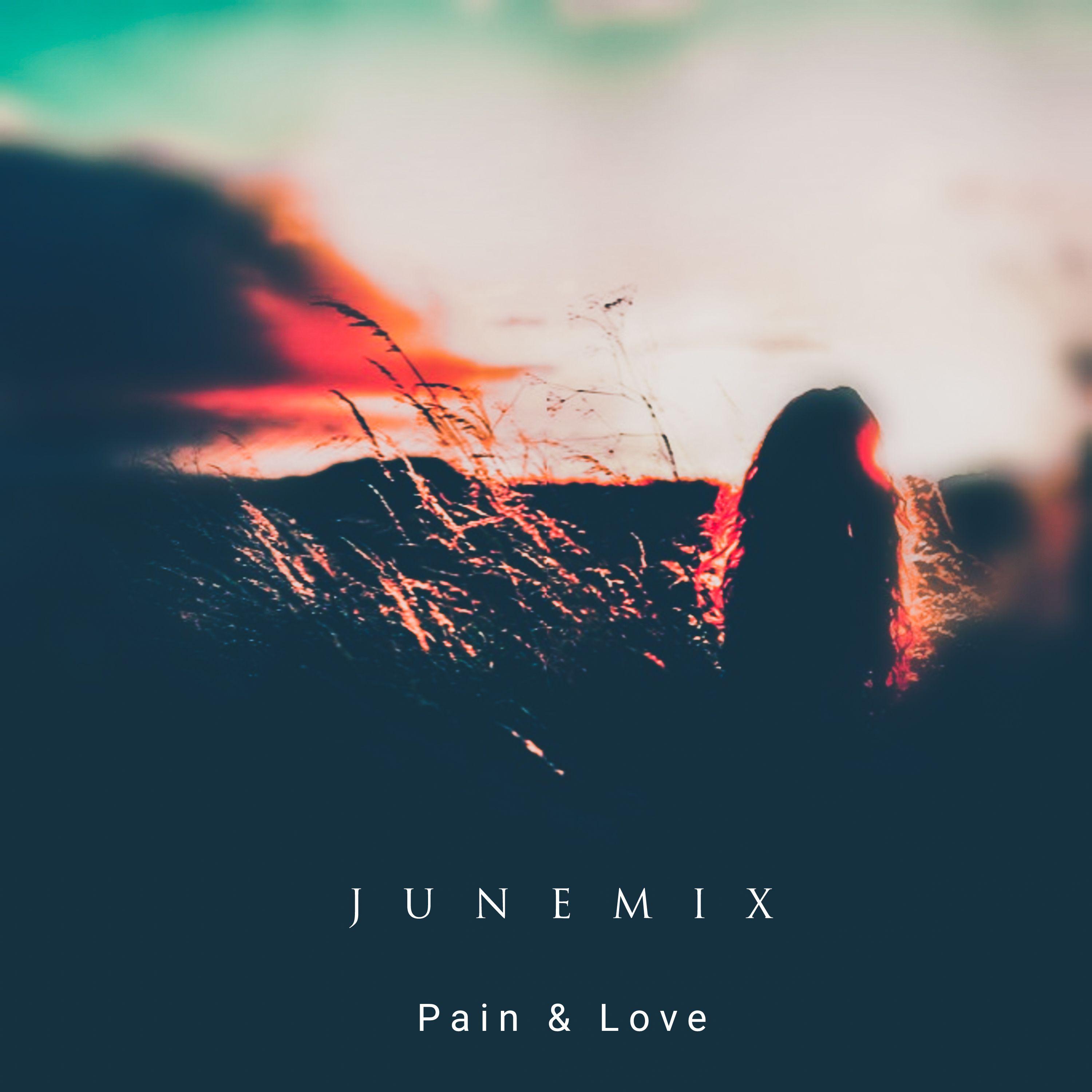 Постер альбома Pain X Love