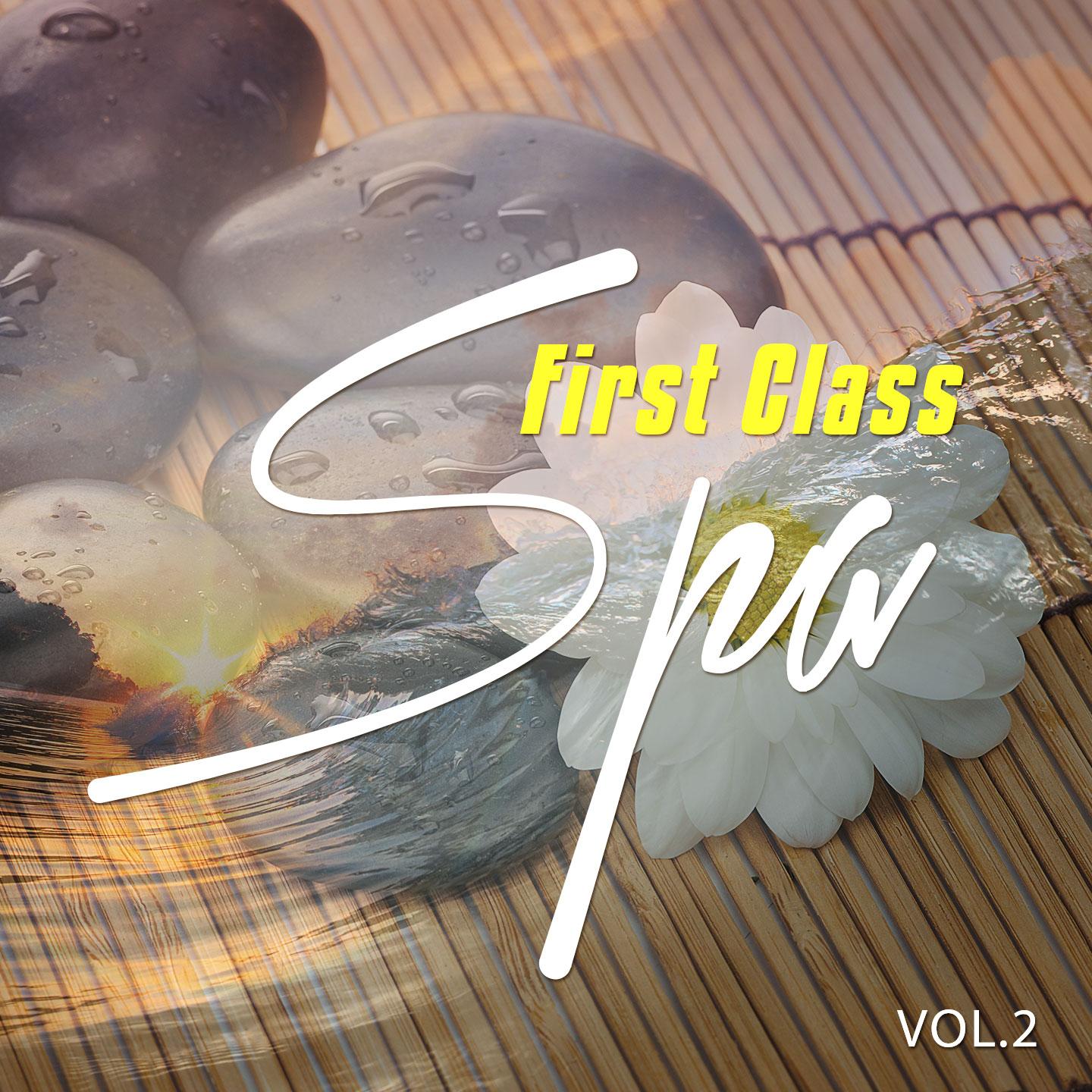 Постер альбома First Class Spa, Vol. 2