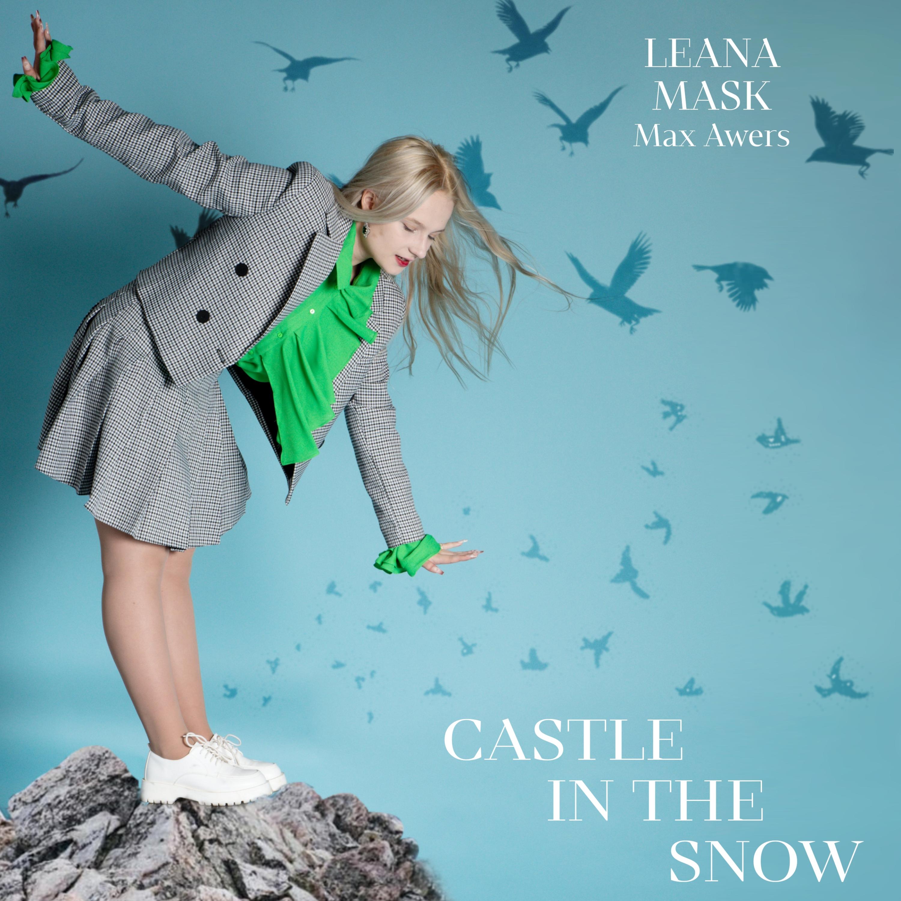 Постер альбома Castle in the snow