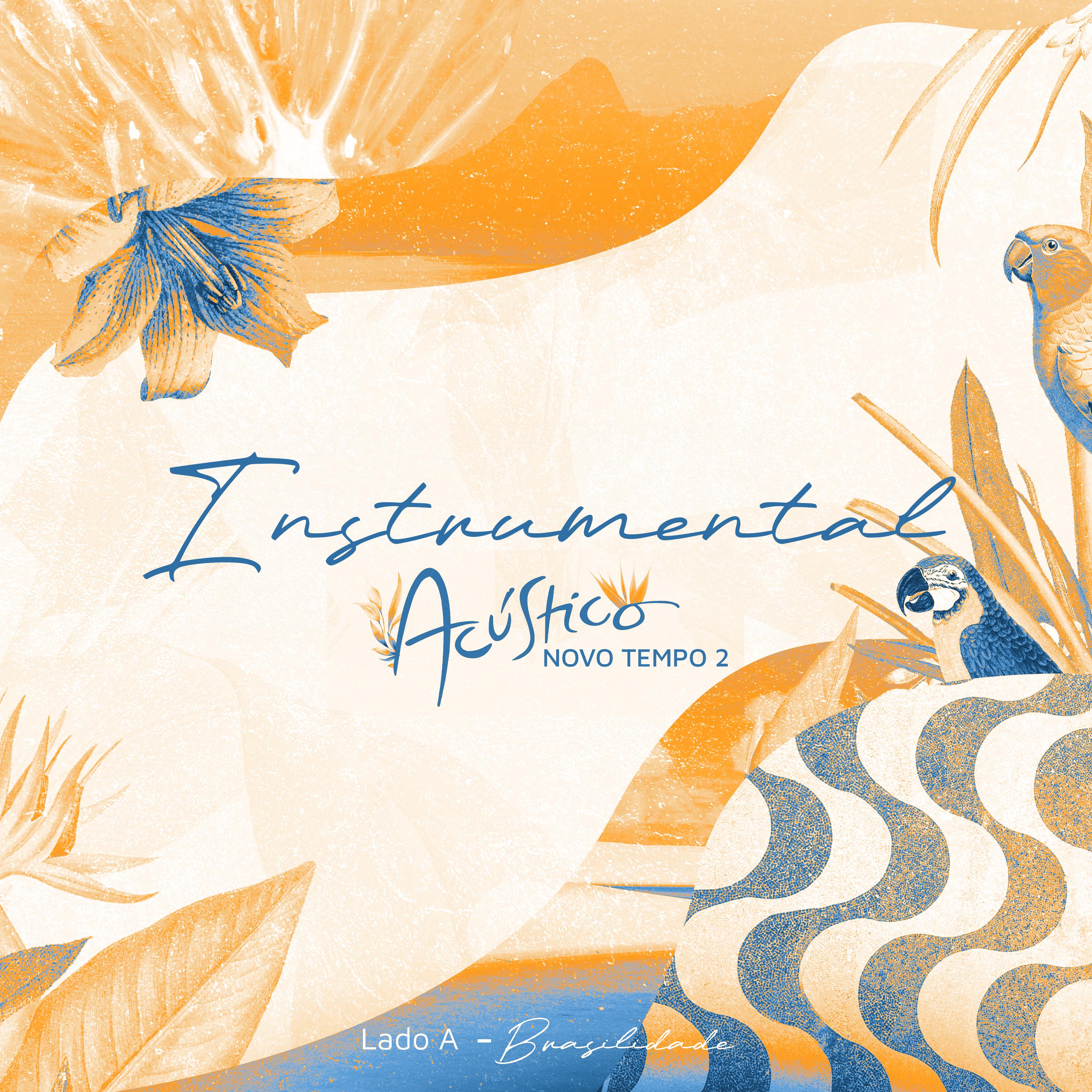 Постер альбома Acústico Novo Tempo 2 (Lado A: Brasilidade): Instrumental
