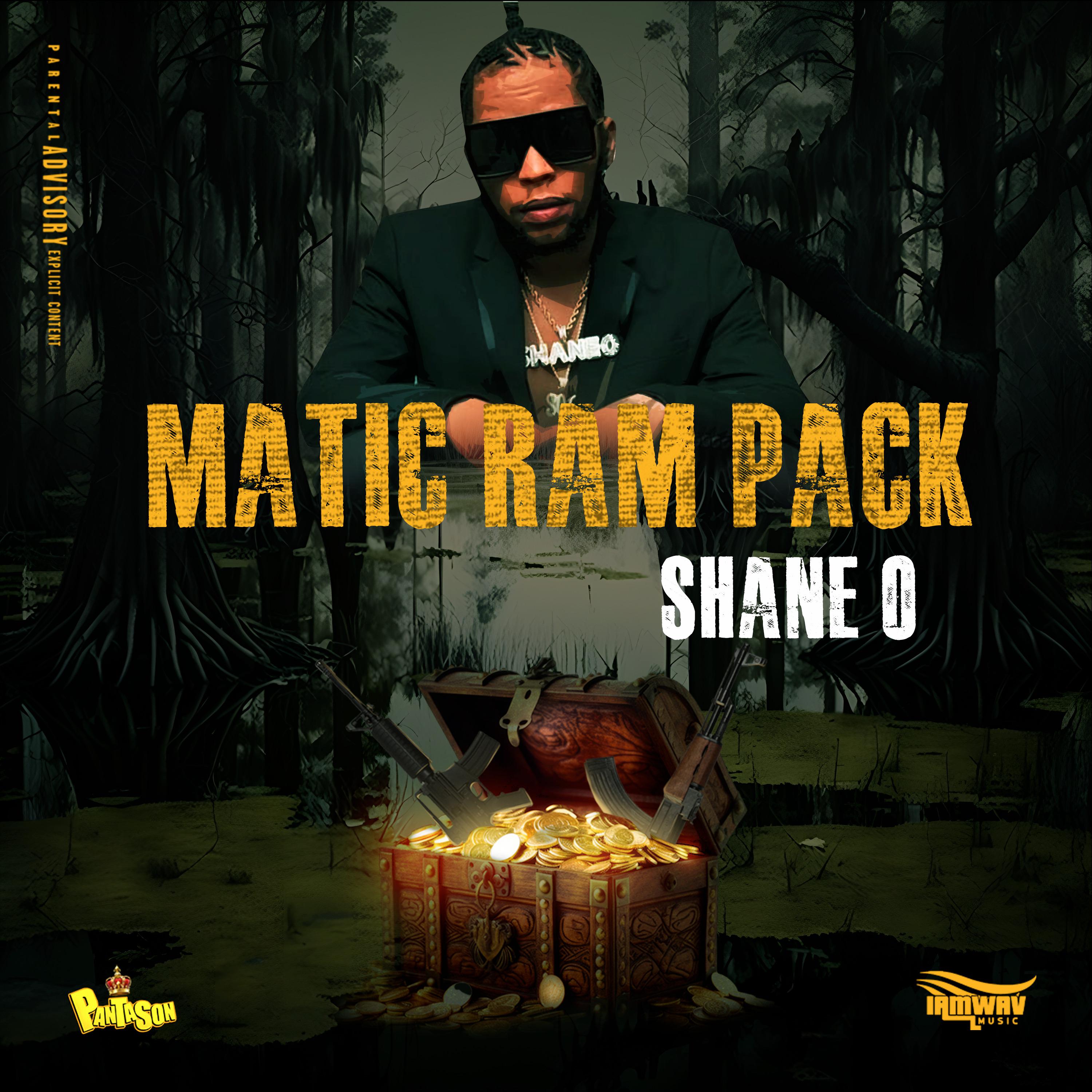 Постер альбома Matic Ram Pack