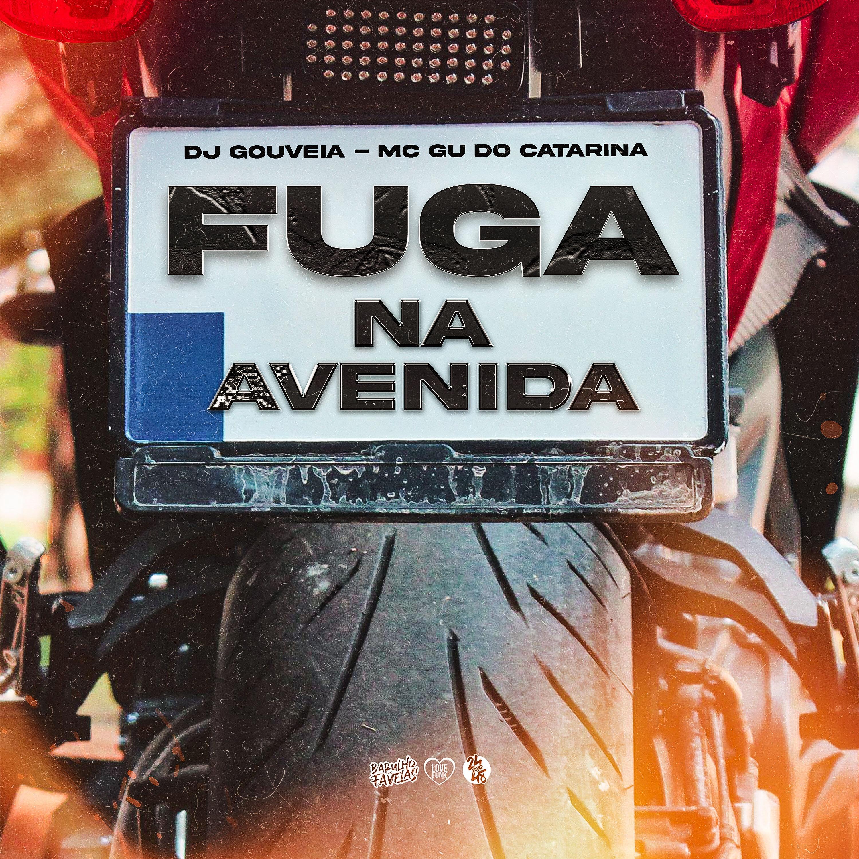 Постер альбома Fuga na Avenida